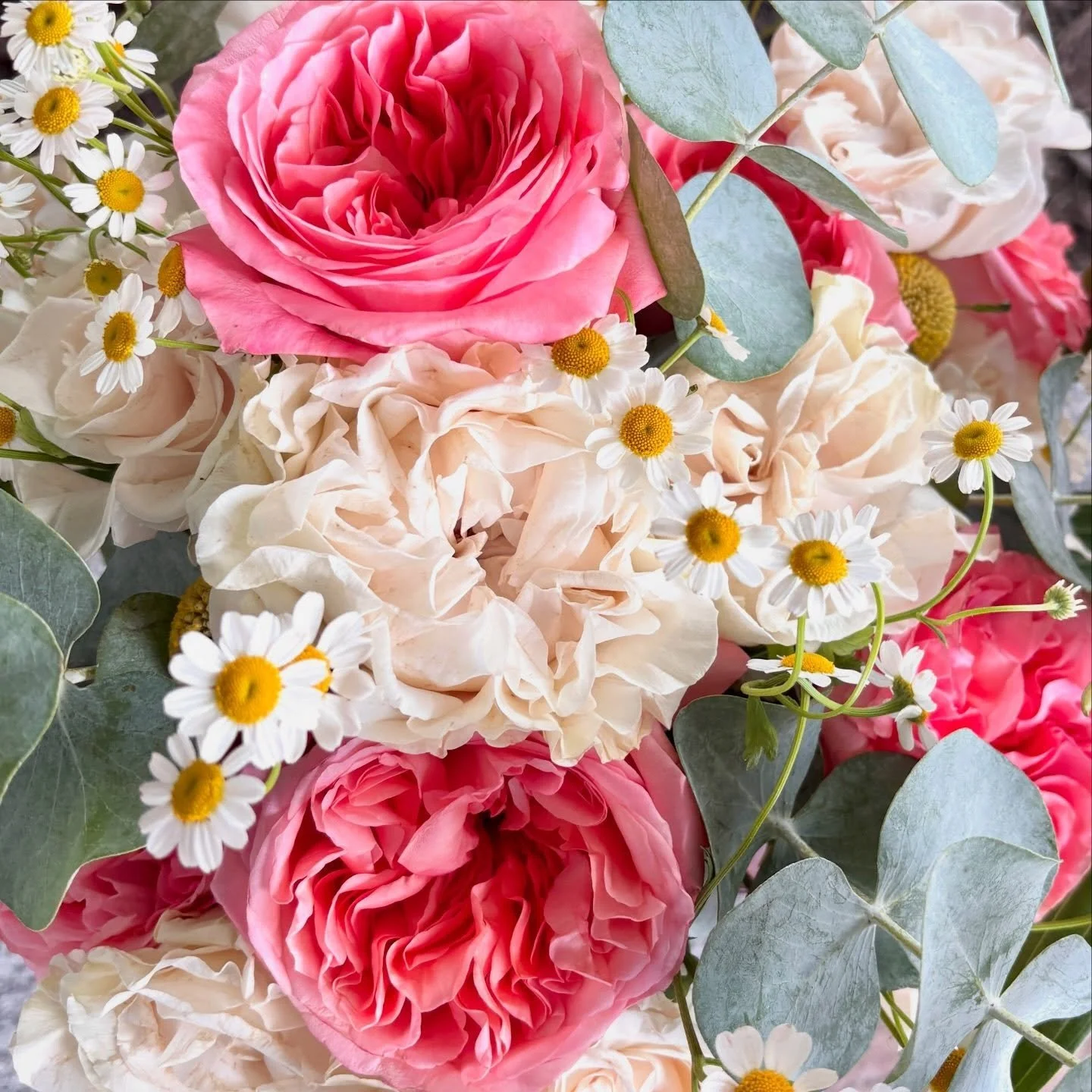 Sneak peak into the inspiration for our next collection🌸💕🌷