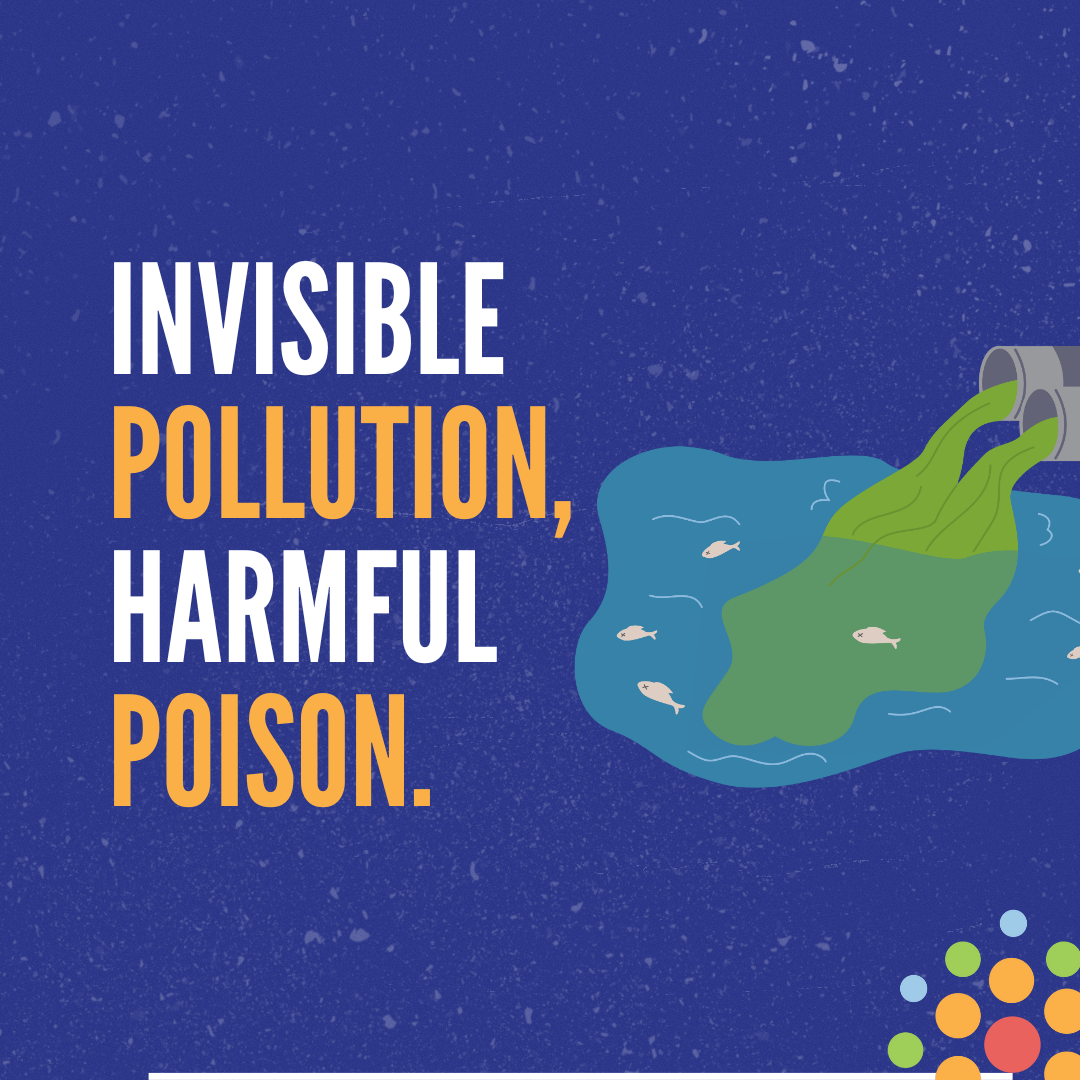 Factory Farms: Why the Pollution You Don’t See Still Affects You