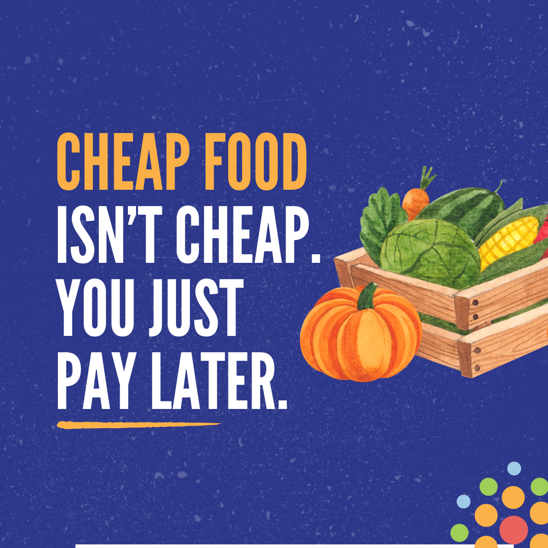 Why “Cheap Food” Is the Most Expensive Mistake We Make