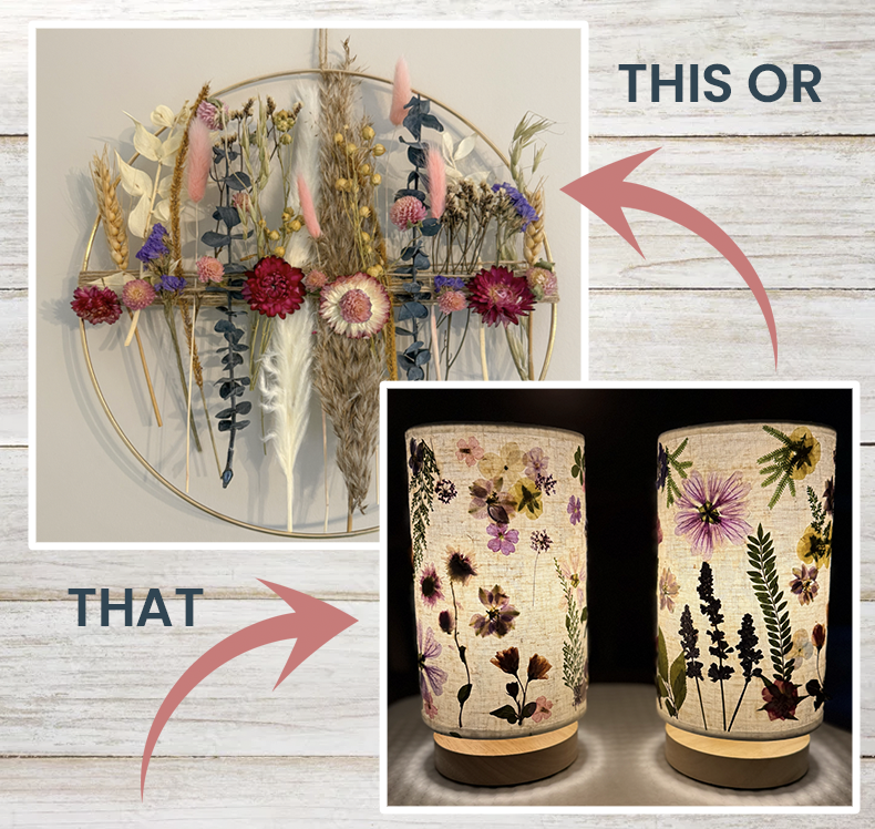 Screenshot 2026-01-08 at 11.27.20 AM.png