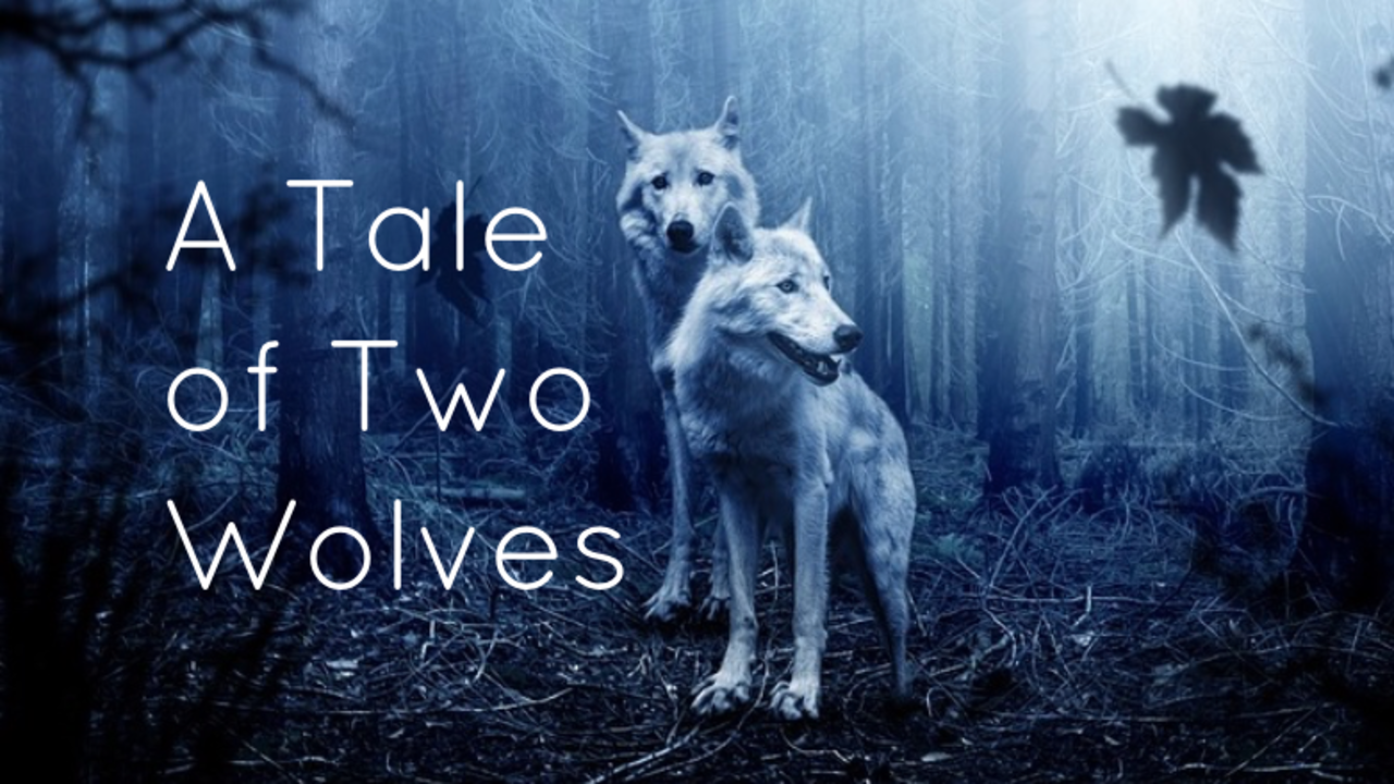 Tale of Two Wolves