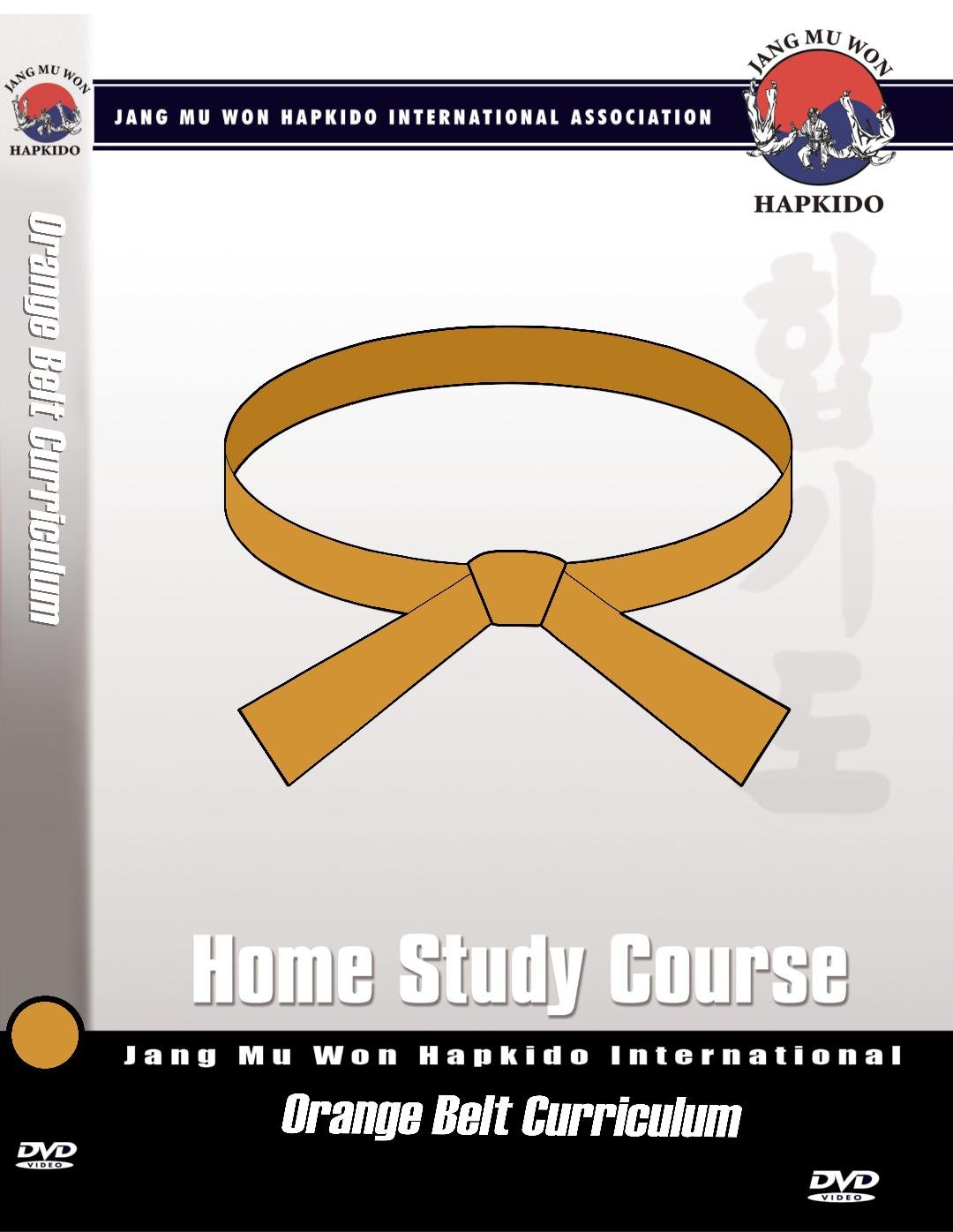 orange belt.jpg