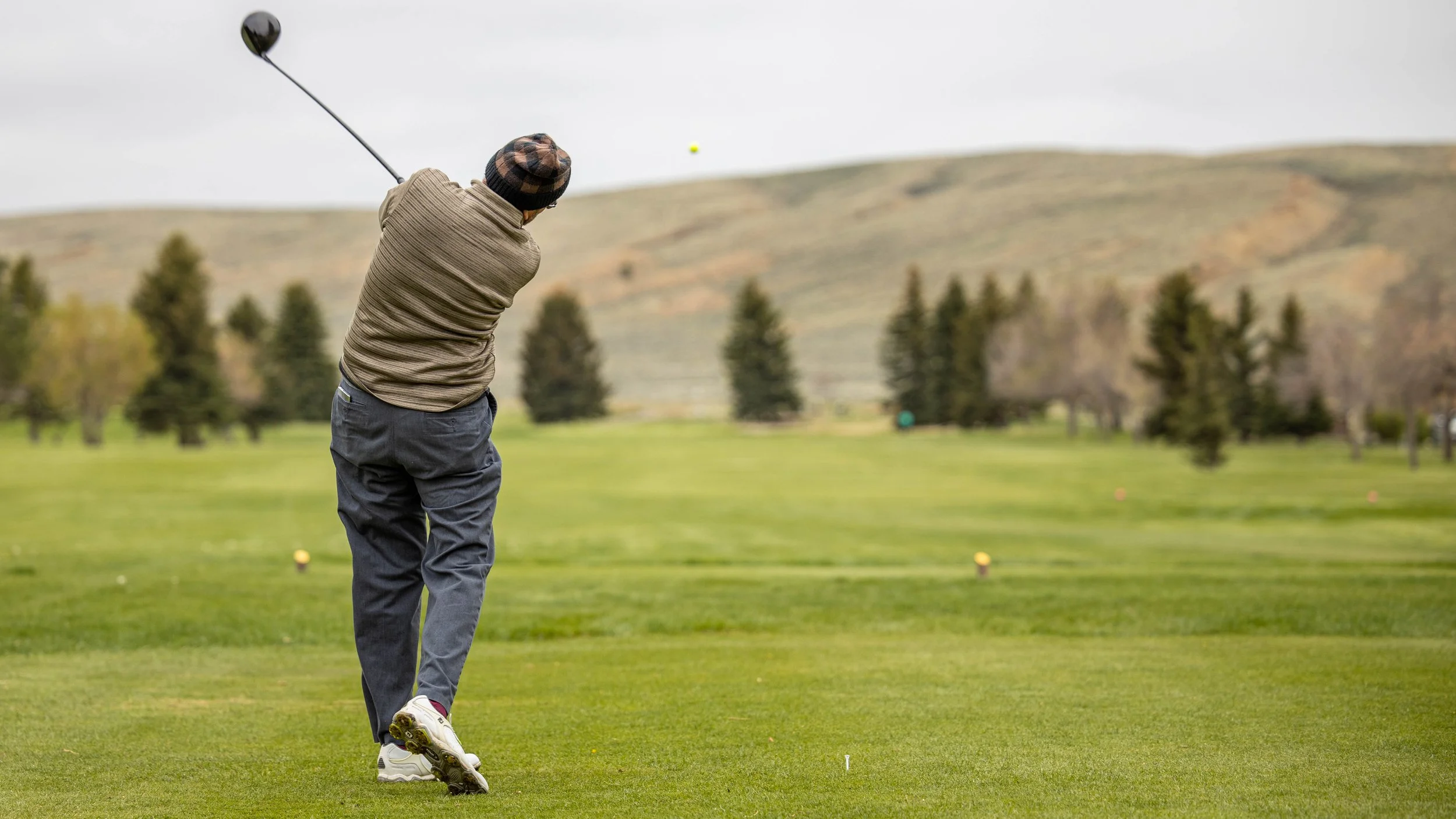 gallery-2-your-site-title