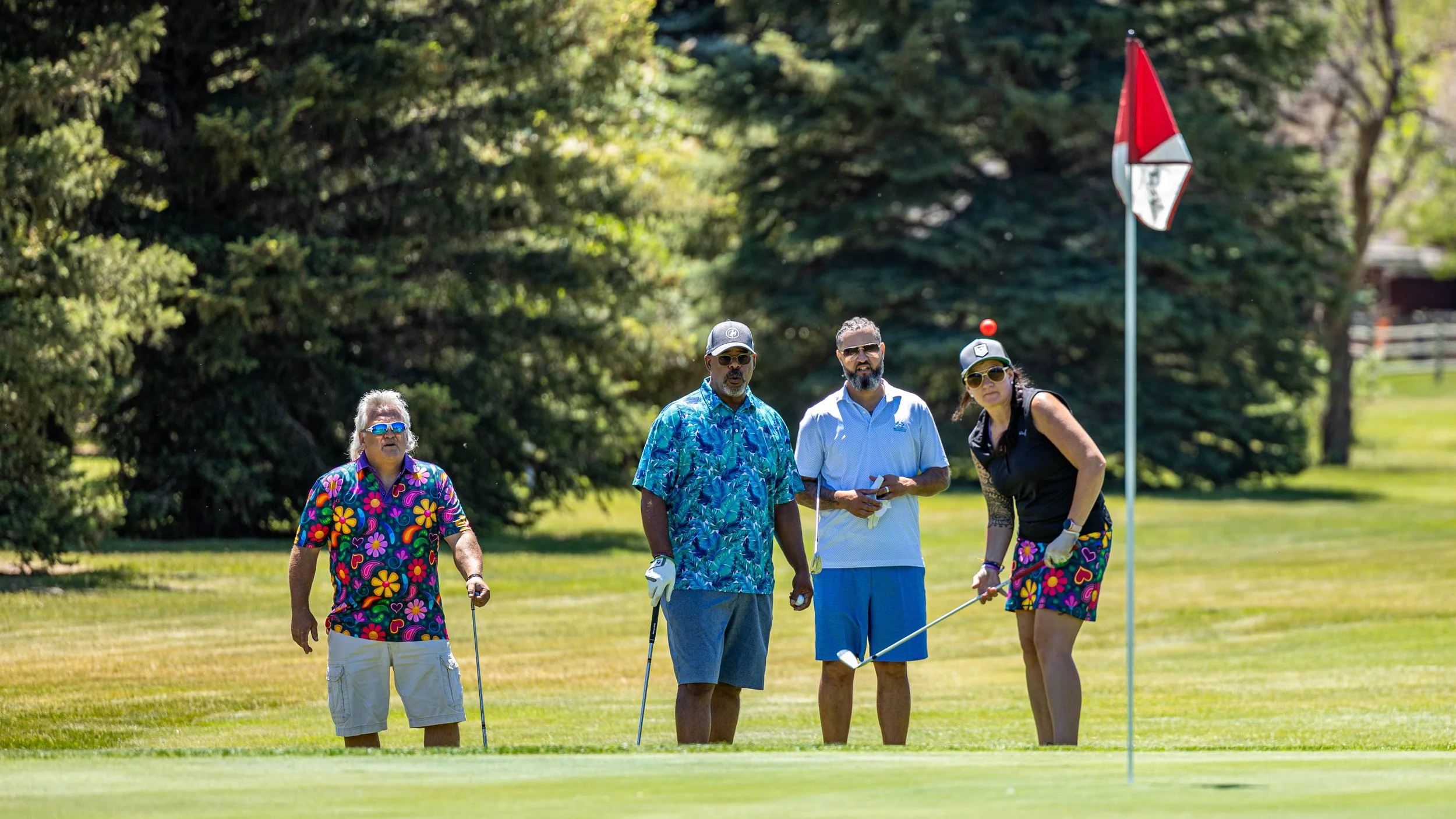 gallery-2-your-site-title