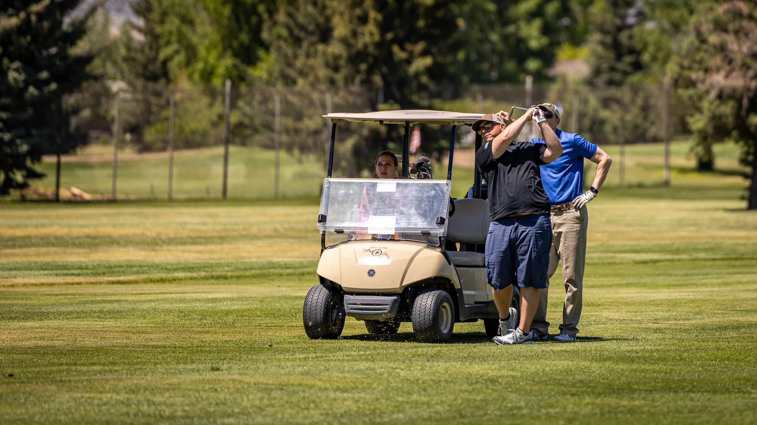 gallery-2-your-site-title