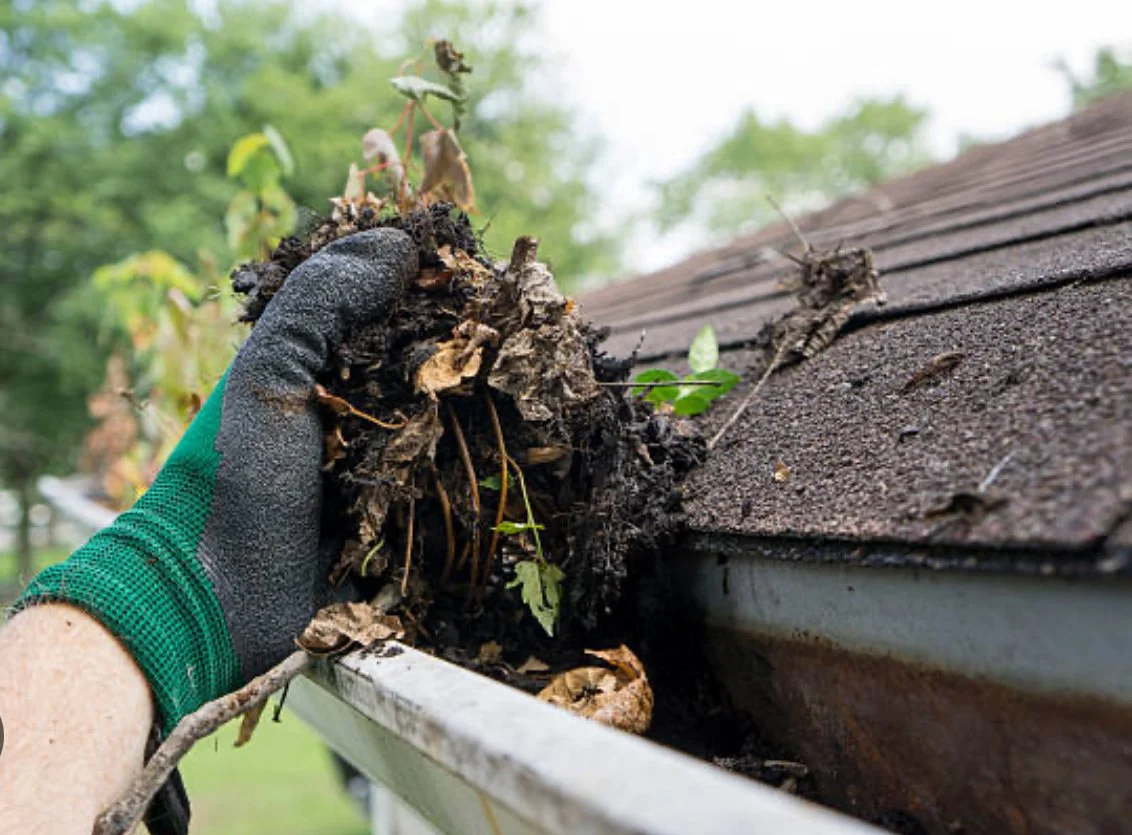 Free gutter cleaning service!