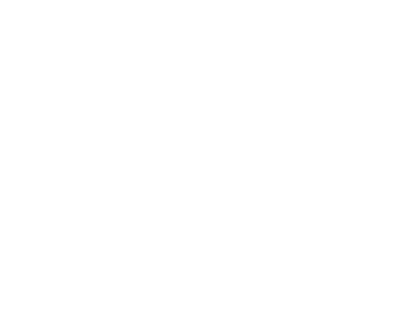 The Turtle Talks