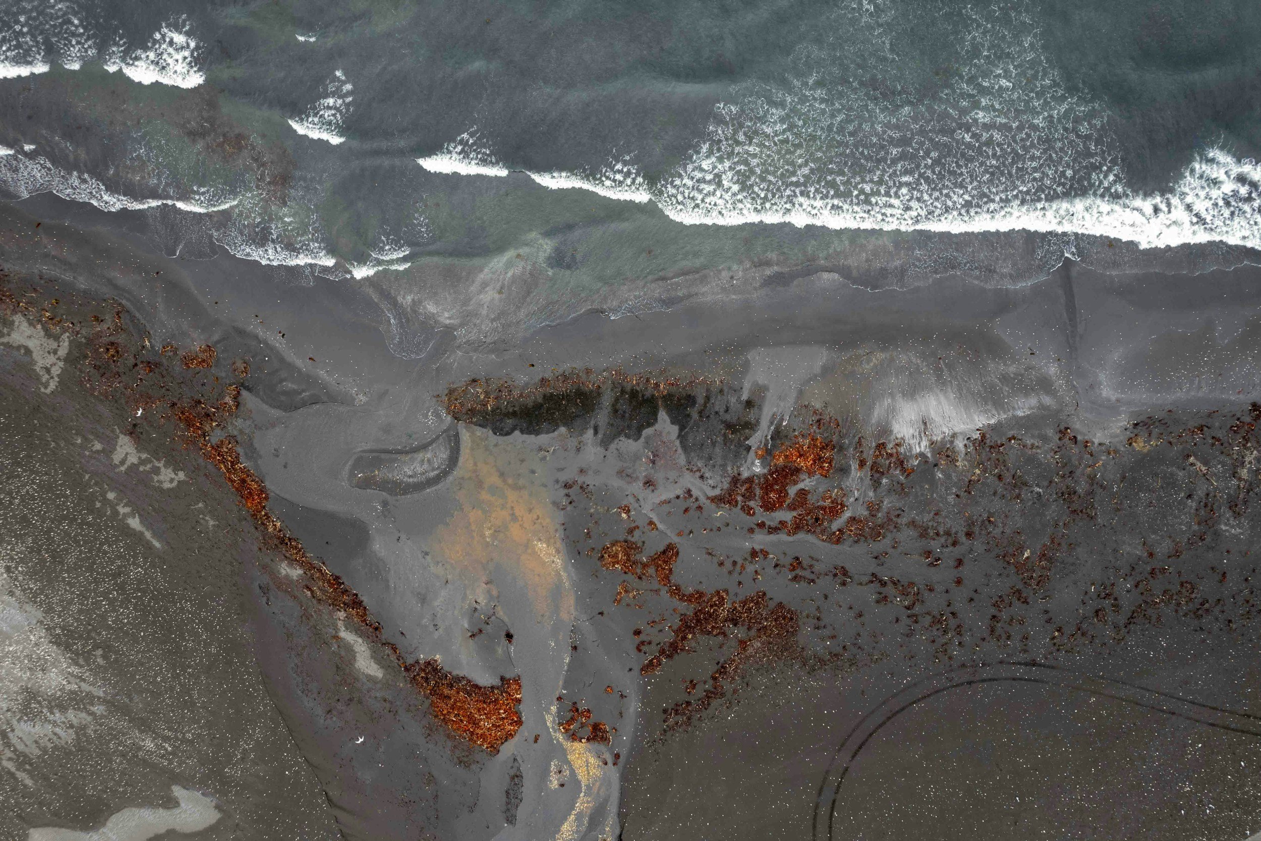 A woman with short black hair smiling outdoors, wearing a blue top, surrounded by green plants.
