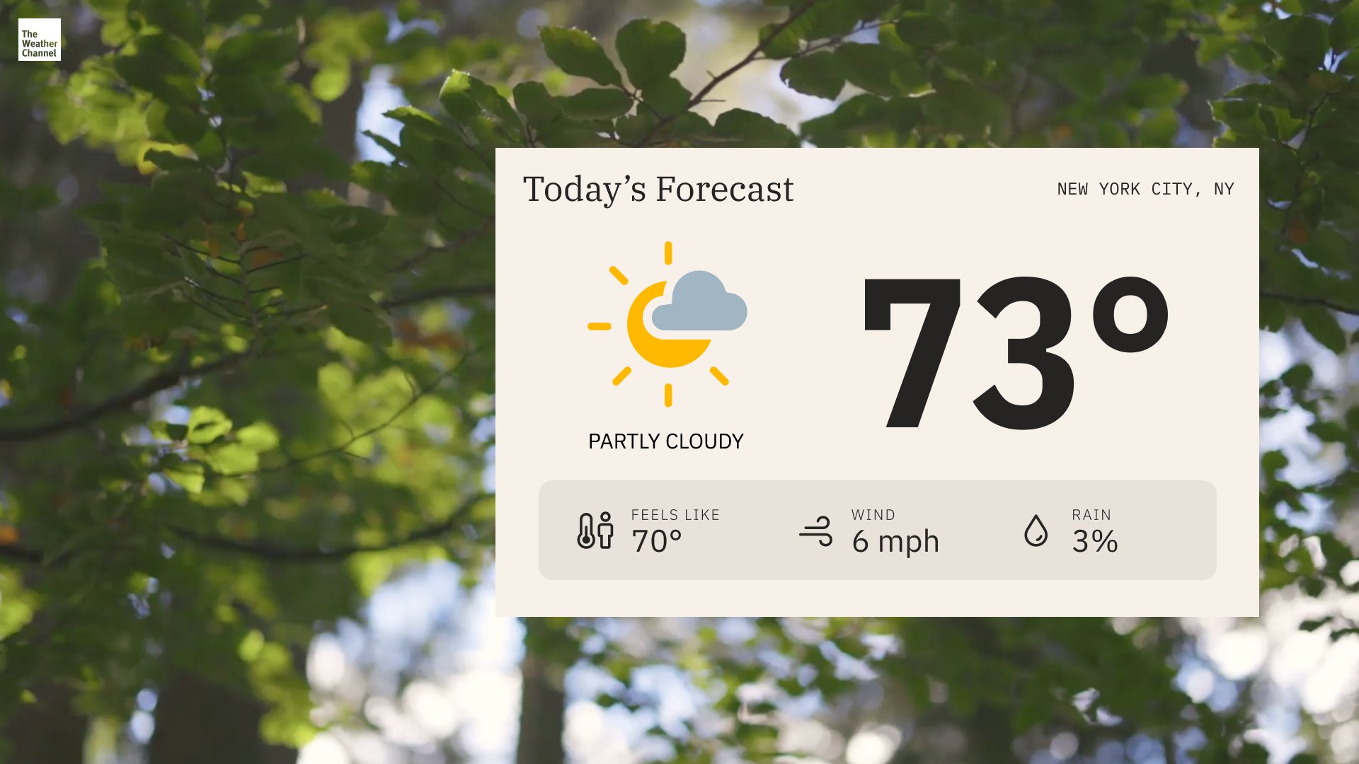 Today's Forecast.jpg