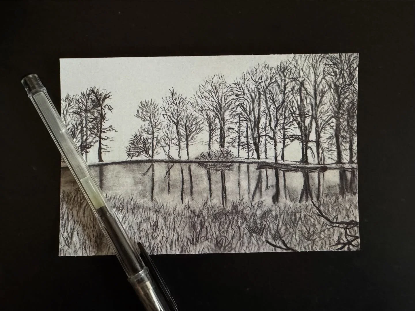 November&rsquo;s Lesson from Nature (in October)

In the cold and wind, I am reminded that I have strength within myself. I will endure.

This month&rsquo;s postcard grew from that quiet knowing&mdash;the way bare branches hold steady through the sto