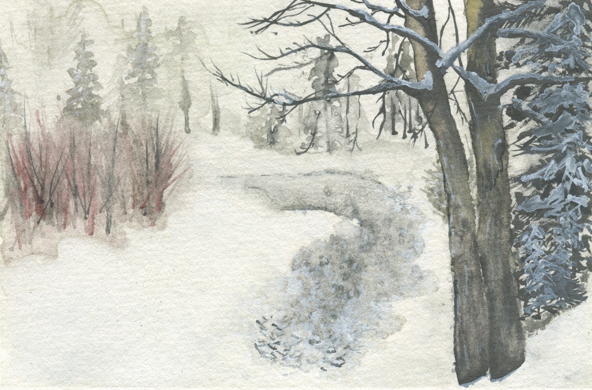 Oooh, hey! Guess who forgot to share December's Lessons from Nature postcard design??

SURPRISE! It was me!

Buuuut, this lovely will be shipping out early next week, so get your subscriptions in by Monday to get this one. As always, $5/month, and yo