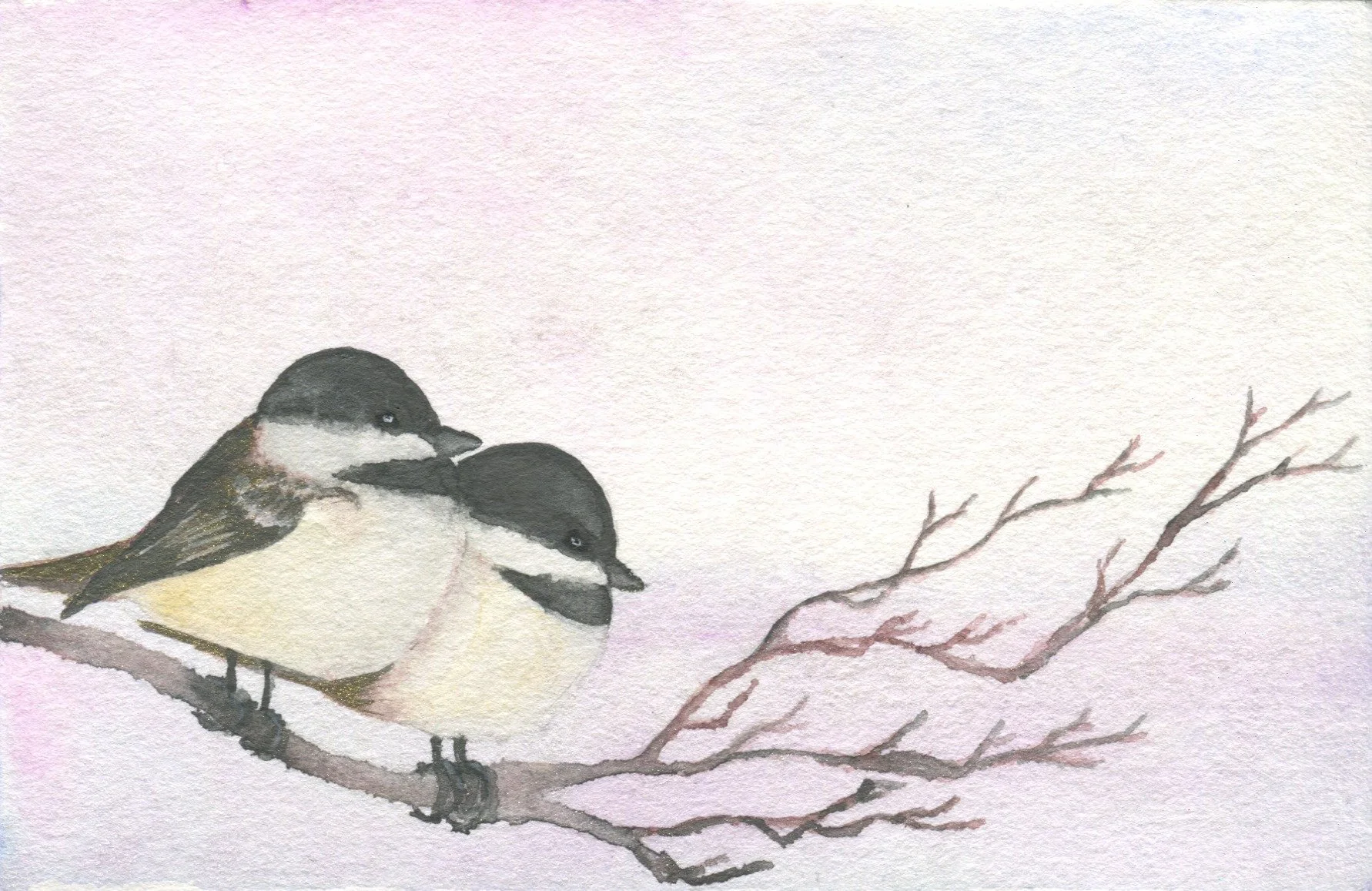 January's Lessons from Nature Postcard is ready to go! Subscribe for $5/mo (you know where to go) by Monday 11/12 to get these cute chickadee fluffs!

I watch the birds sit closer to each other in the branches and on the power lines. January&rsquo;s 
