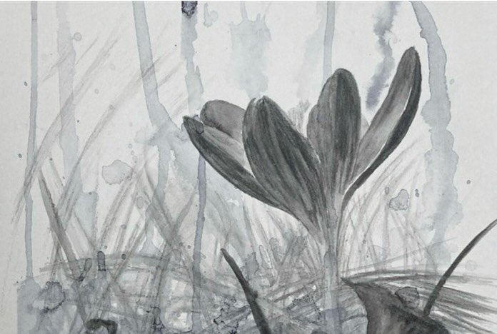 There&rsquo;s this little note on my calendar with a @tracy.stanger quote on it: &ldquo;Talk about your shit so you can quit!&rdquo; So here I am 🤣

I have a postcard club. $5/mo and you get a monthly postcard from me (it can be *from* me or blank a