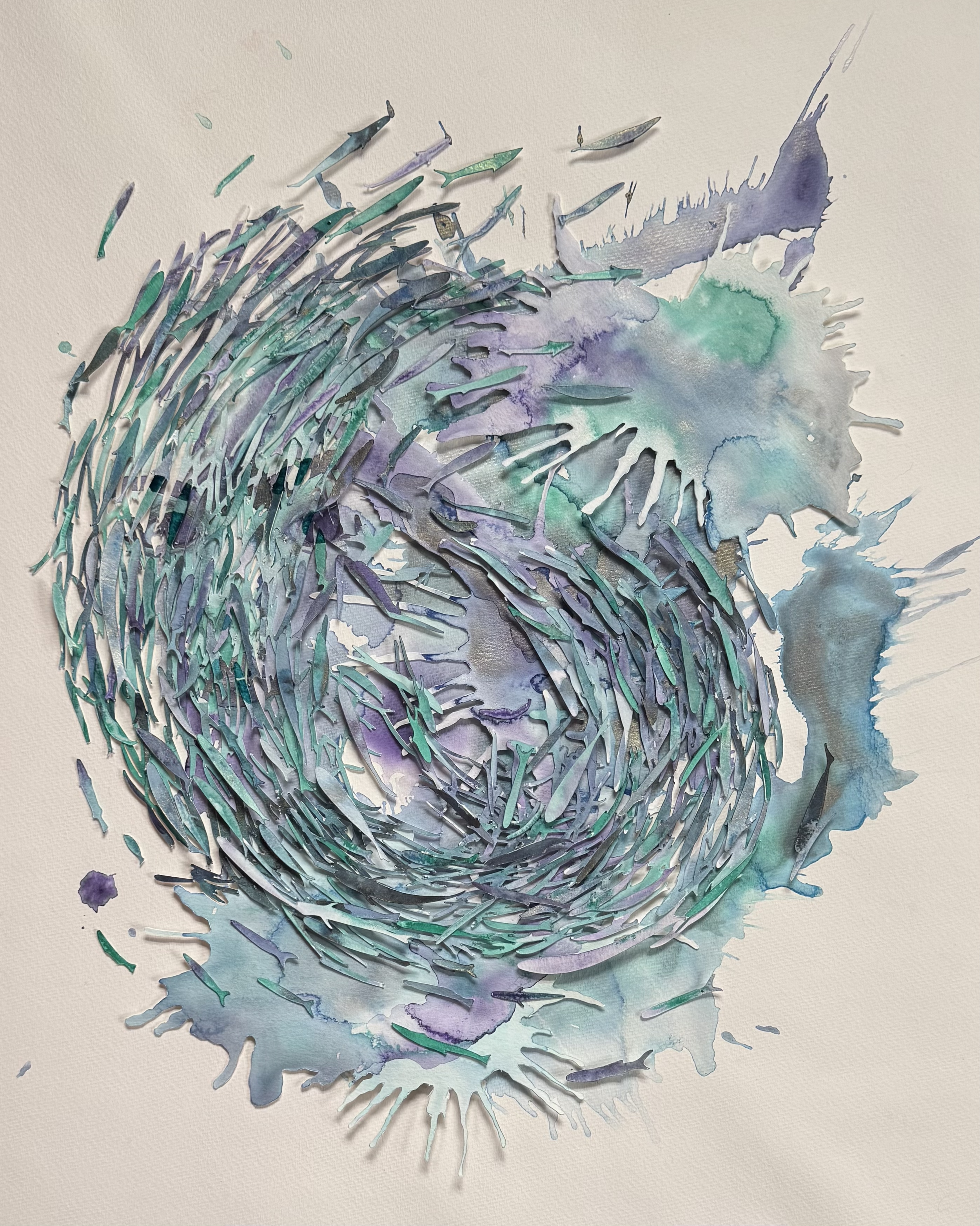 Thunnus.png