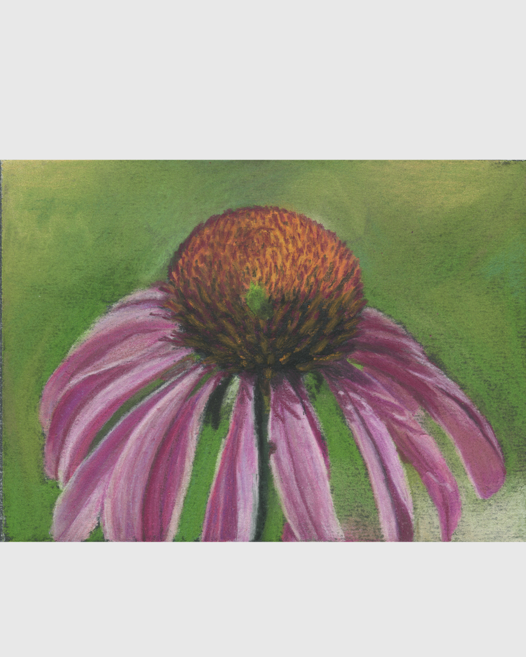 The Shape of Joy Website.png