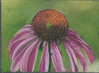 Shape of Joy small.png