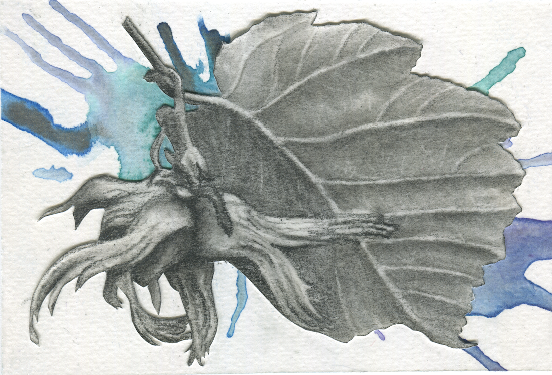 Hazelnut - mixed media
