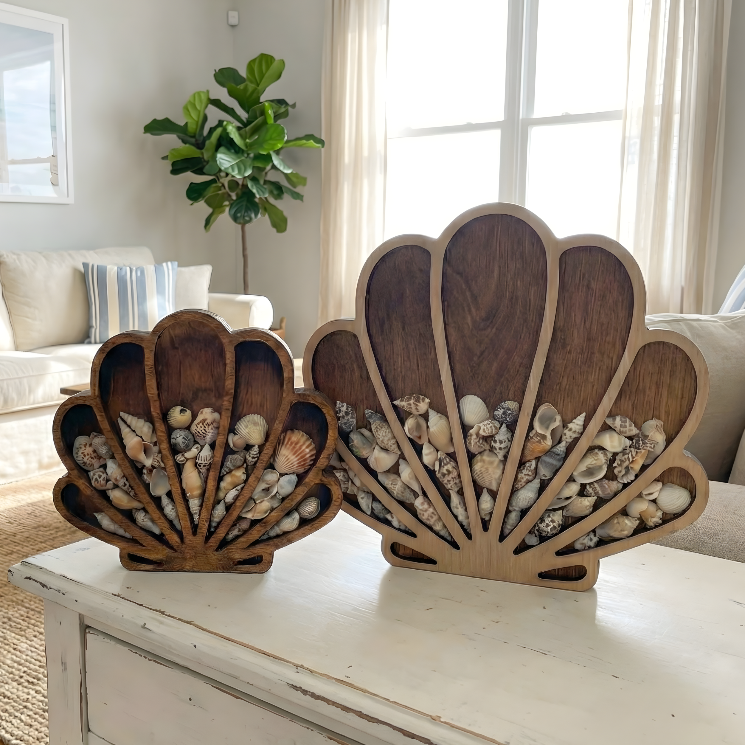 Seashell Sea Glass Display Box