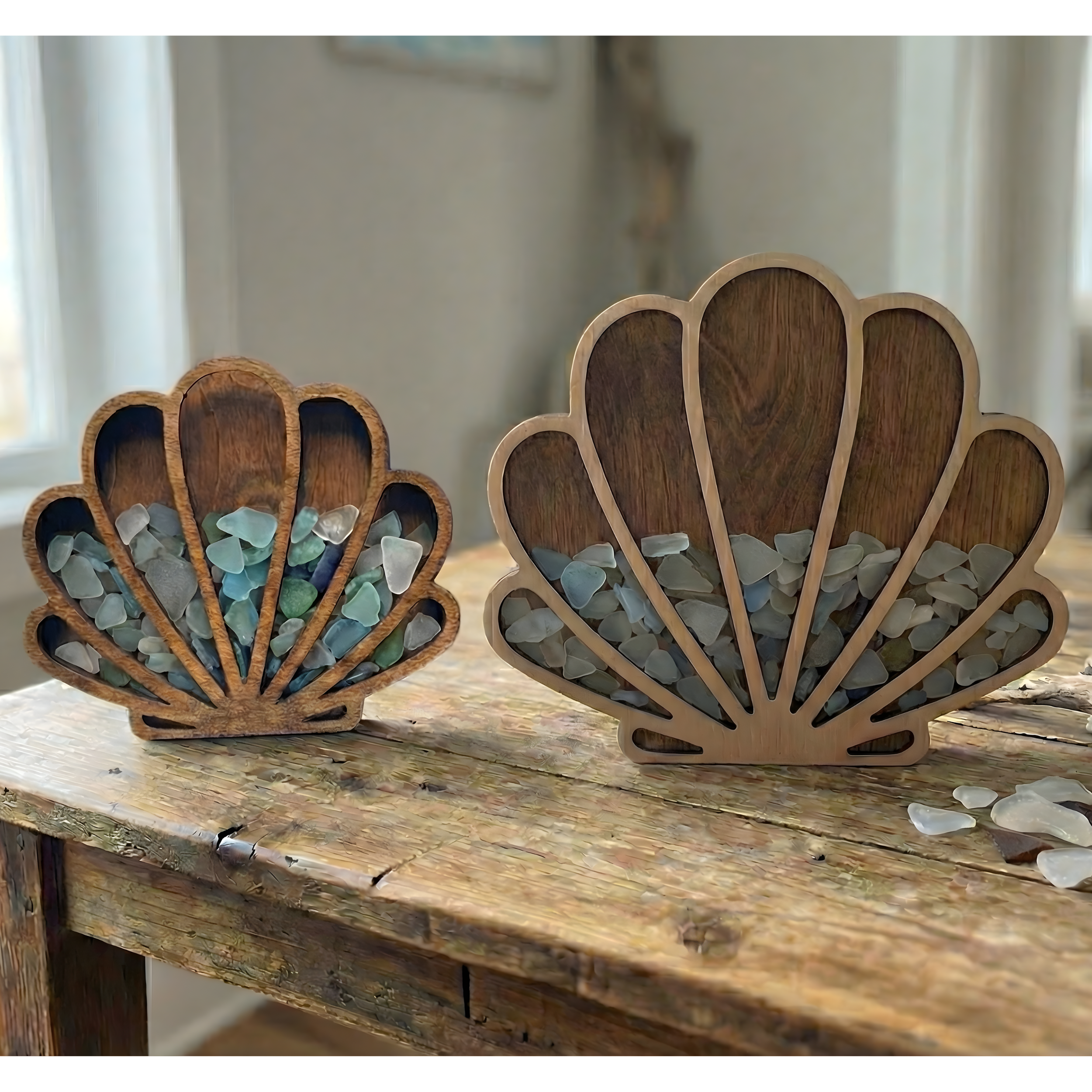 seashell-sea-glass-display (2).png