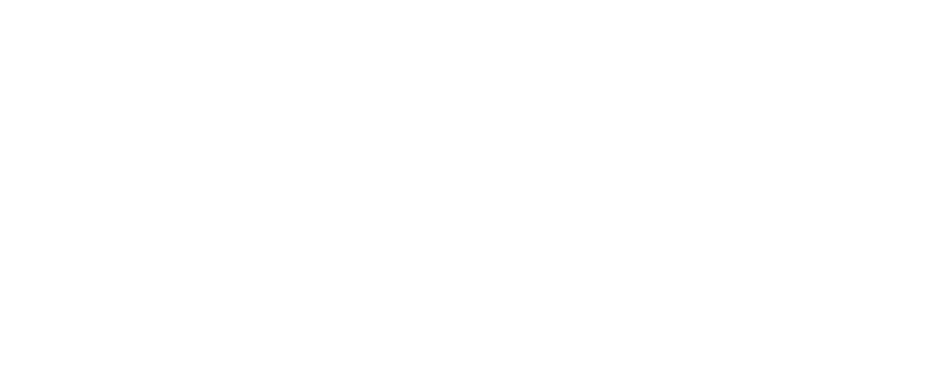 Dart River Adventures