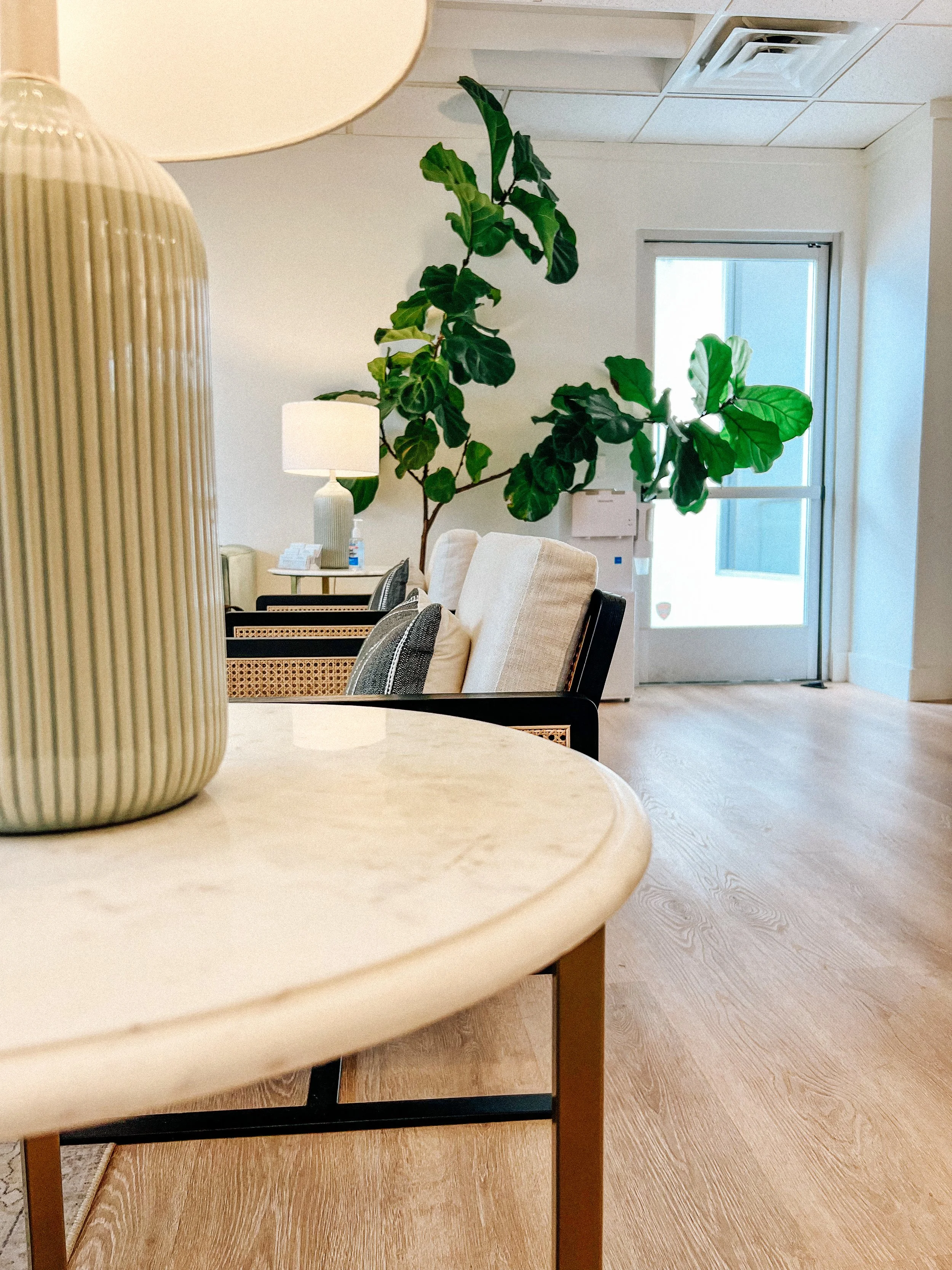 Modern living room with marble coffee table, potted plant, and chairs