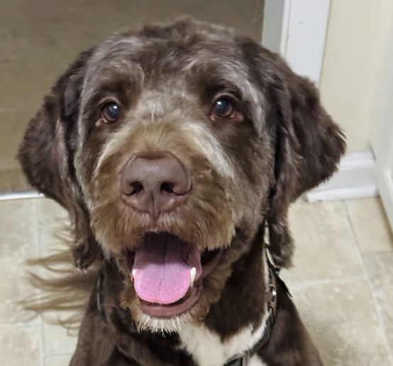 Screenshot 2025-03-29 at 11.55.15 PM.png