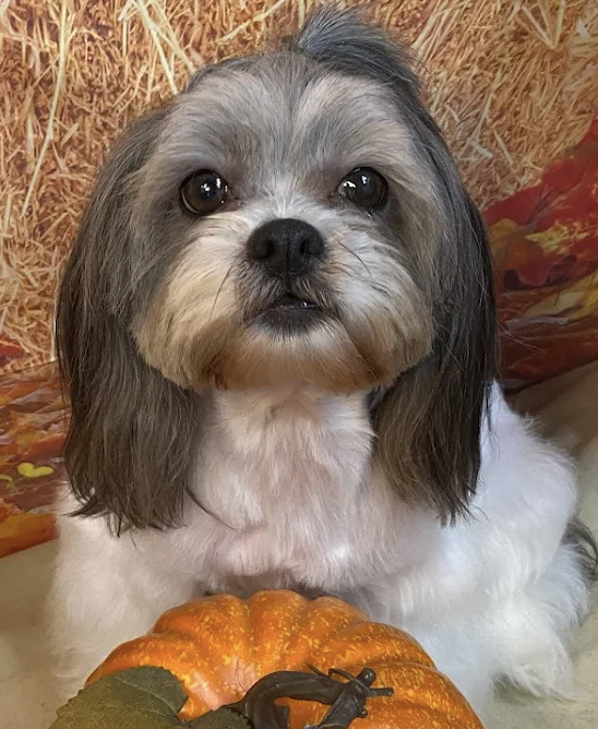 Screenshot 2025-03-29 at 11.55.54 PM.png