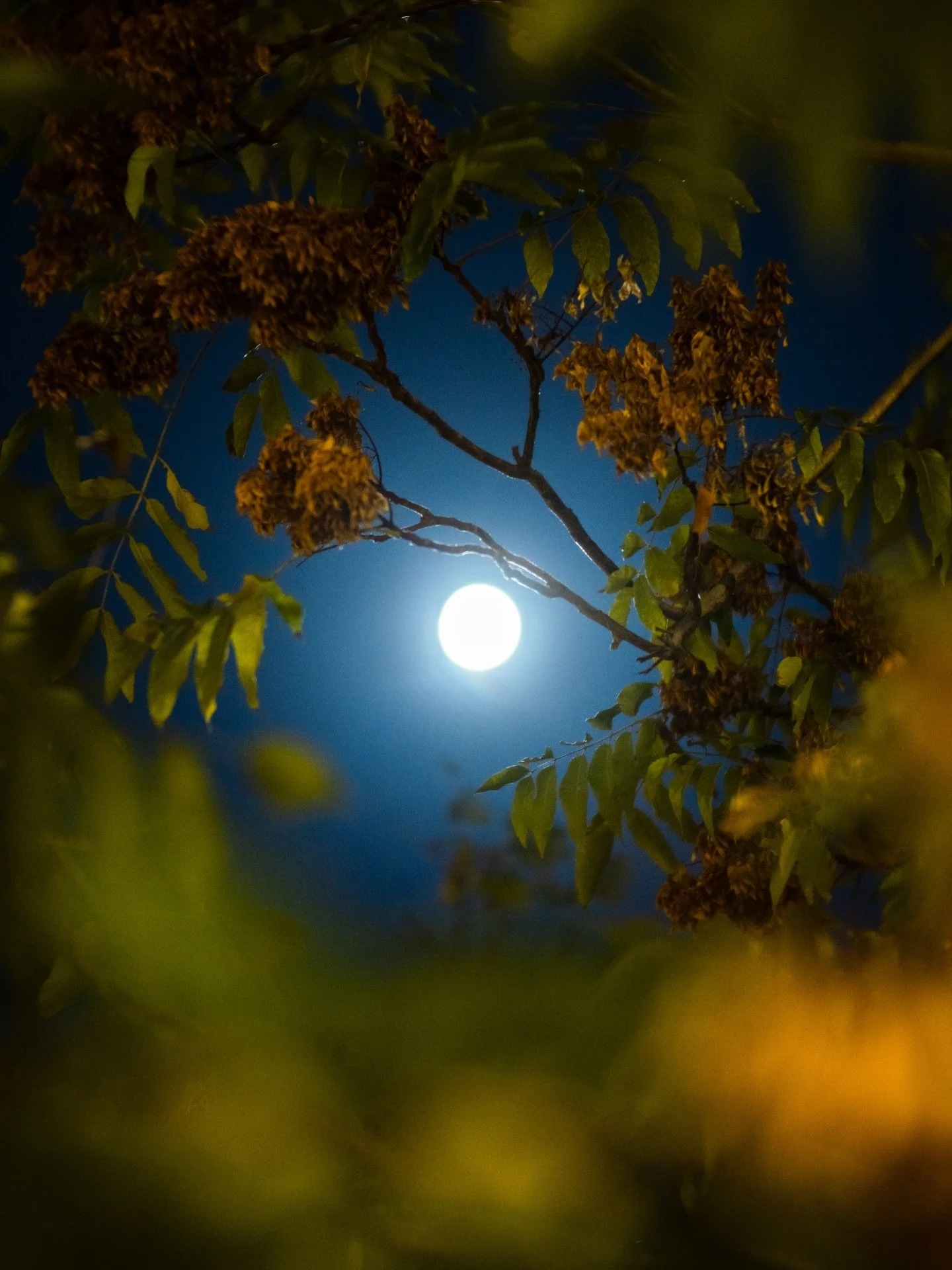 Same moon, different poses.
🌙 🌒 🌑