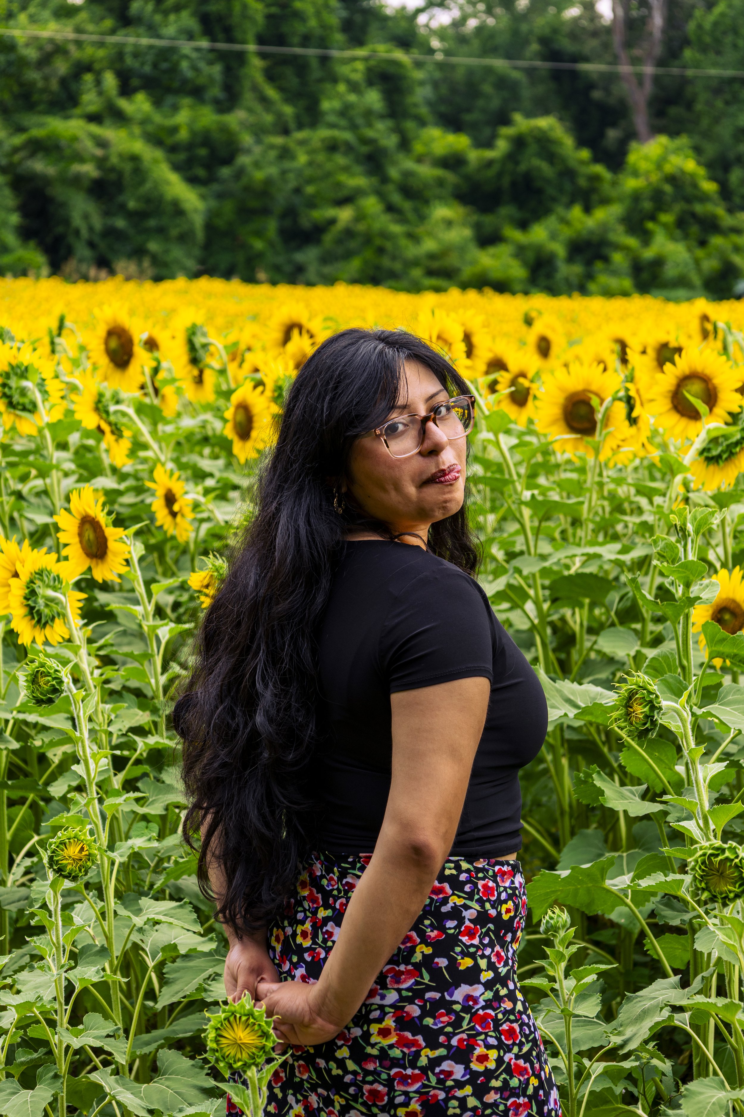 260712_sunflower field_00013.jpg