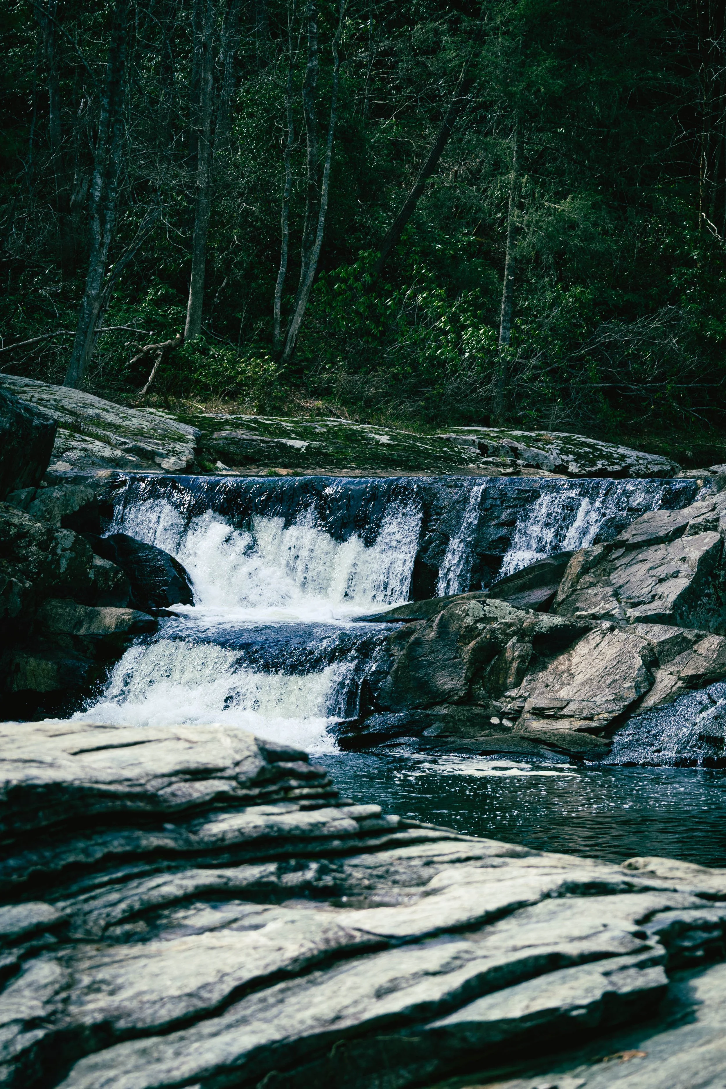 260404_waterfall_00046.jpg