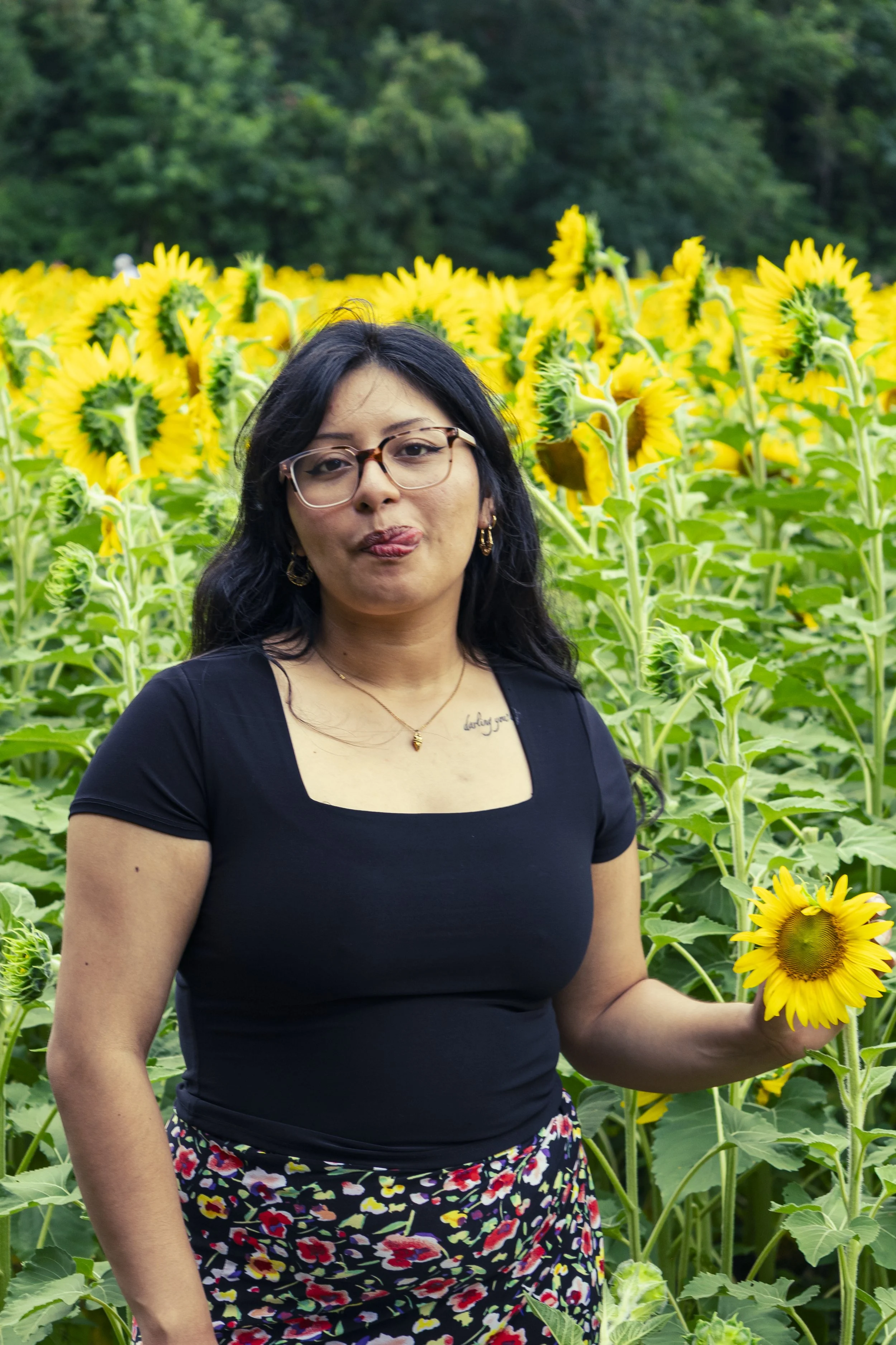 260712_sunflower field_00043.jpg