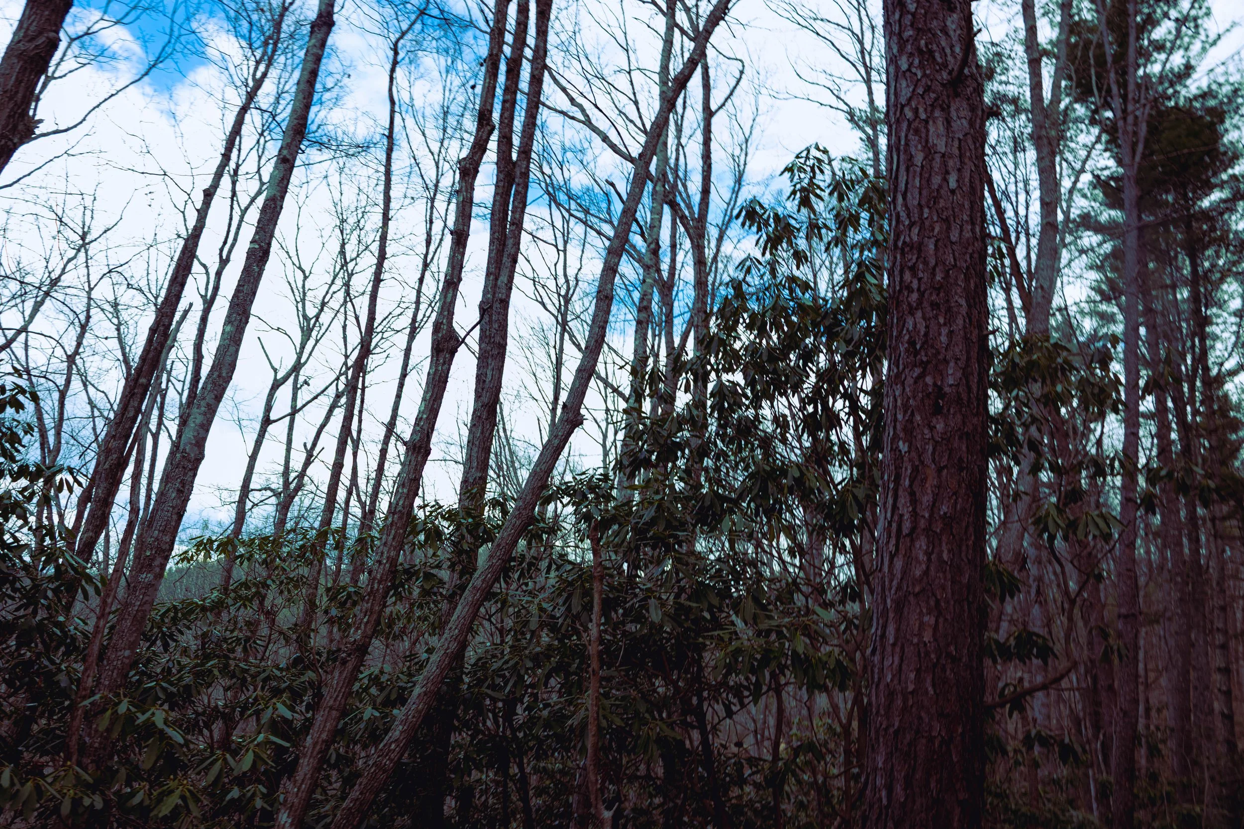 260404_waterfall_00004.jpg