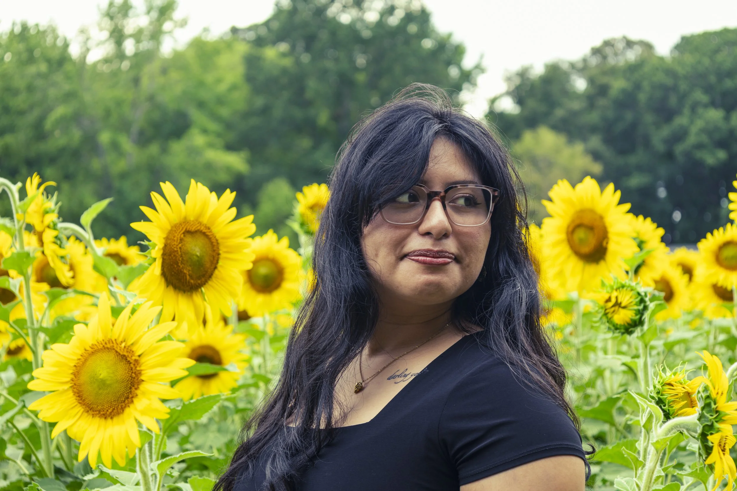 260712_sunflower field_00054.jpg