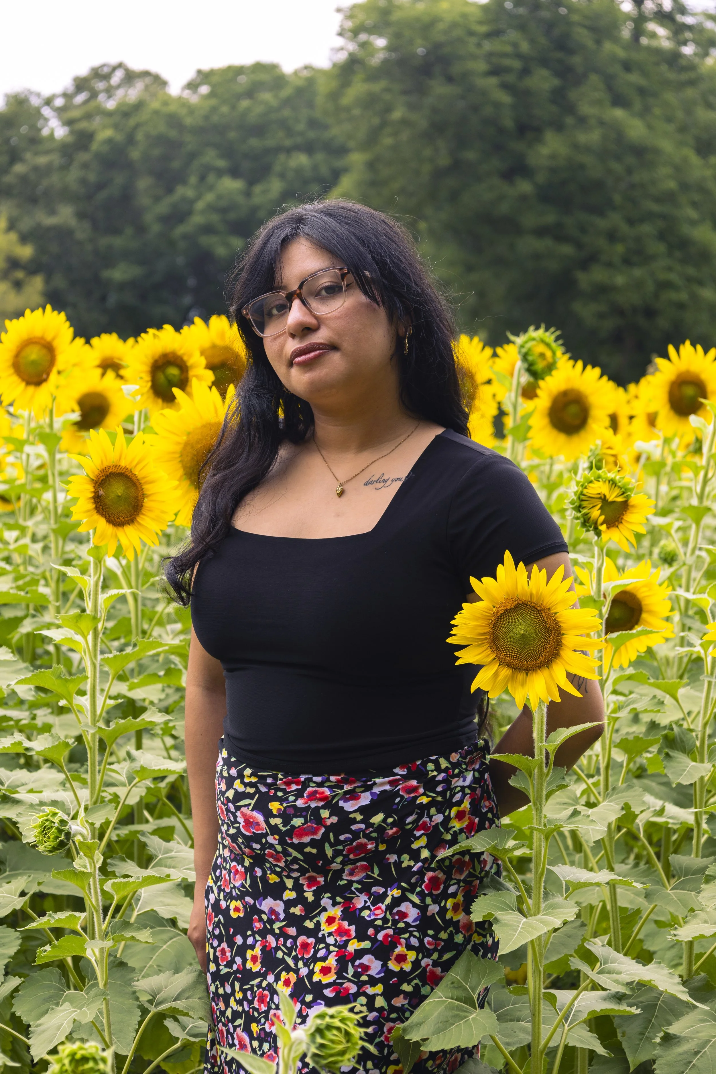 260712_sunflower field_00006.jpg