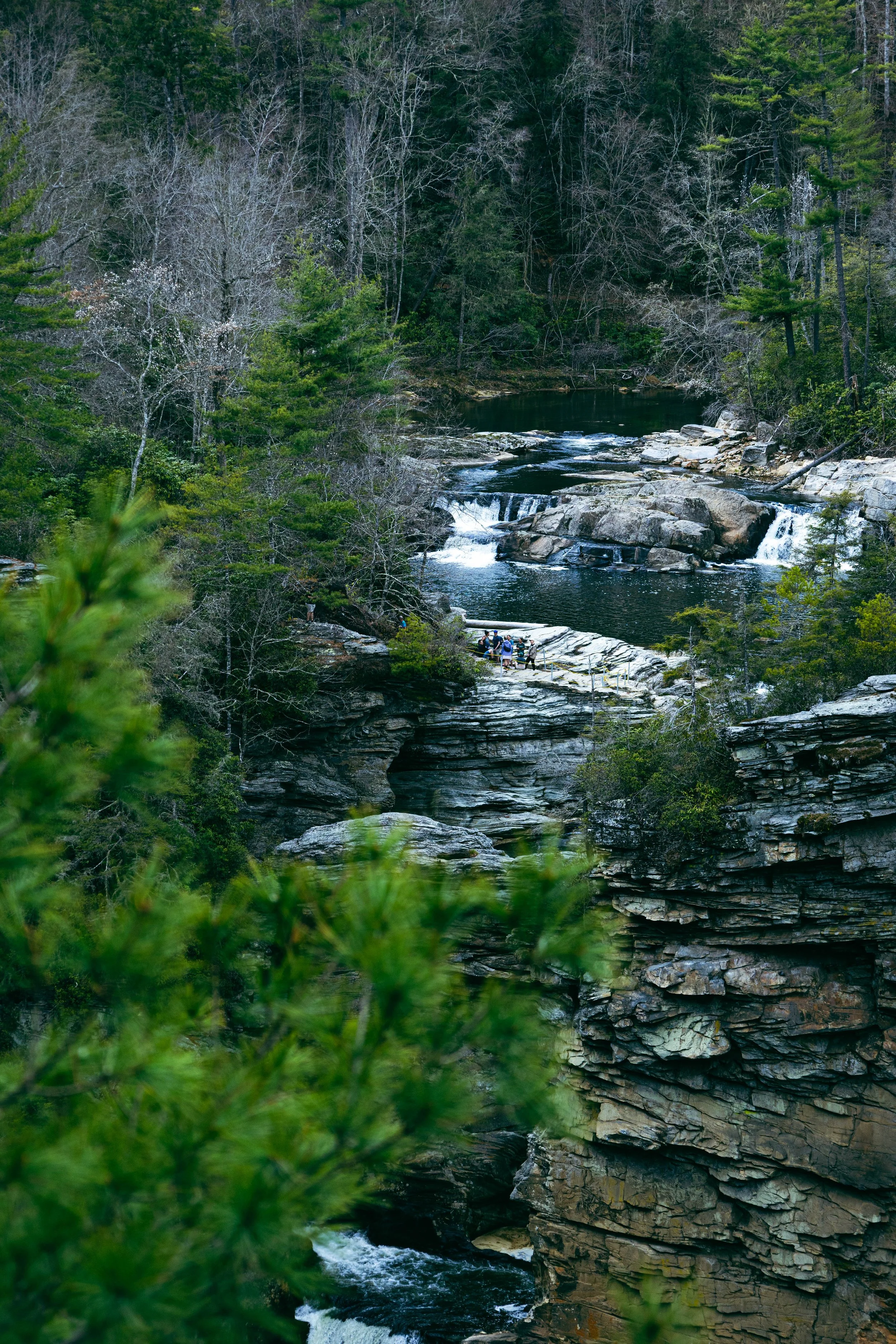260404_waterfall_00086.jpg