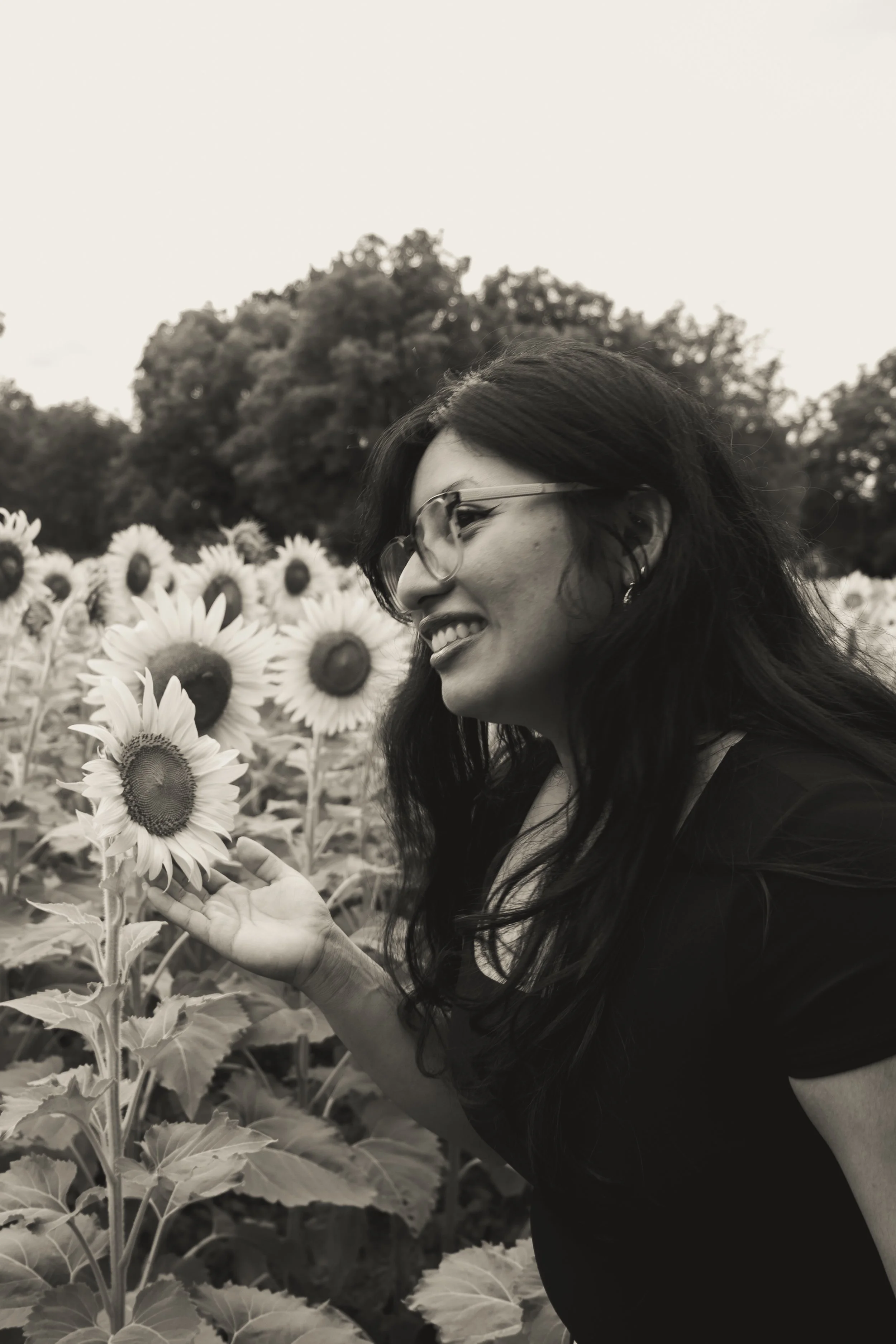 260712_sunflower field_00009.jpg