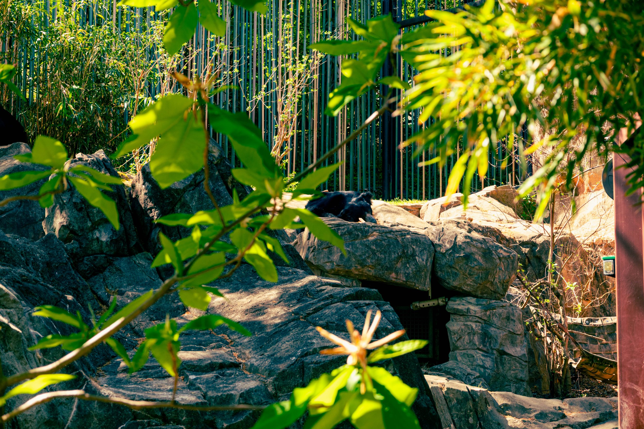 260417_waterfall_take 2_00001.jpg