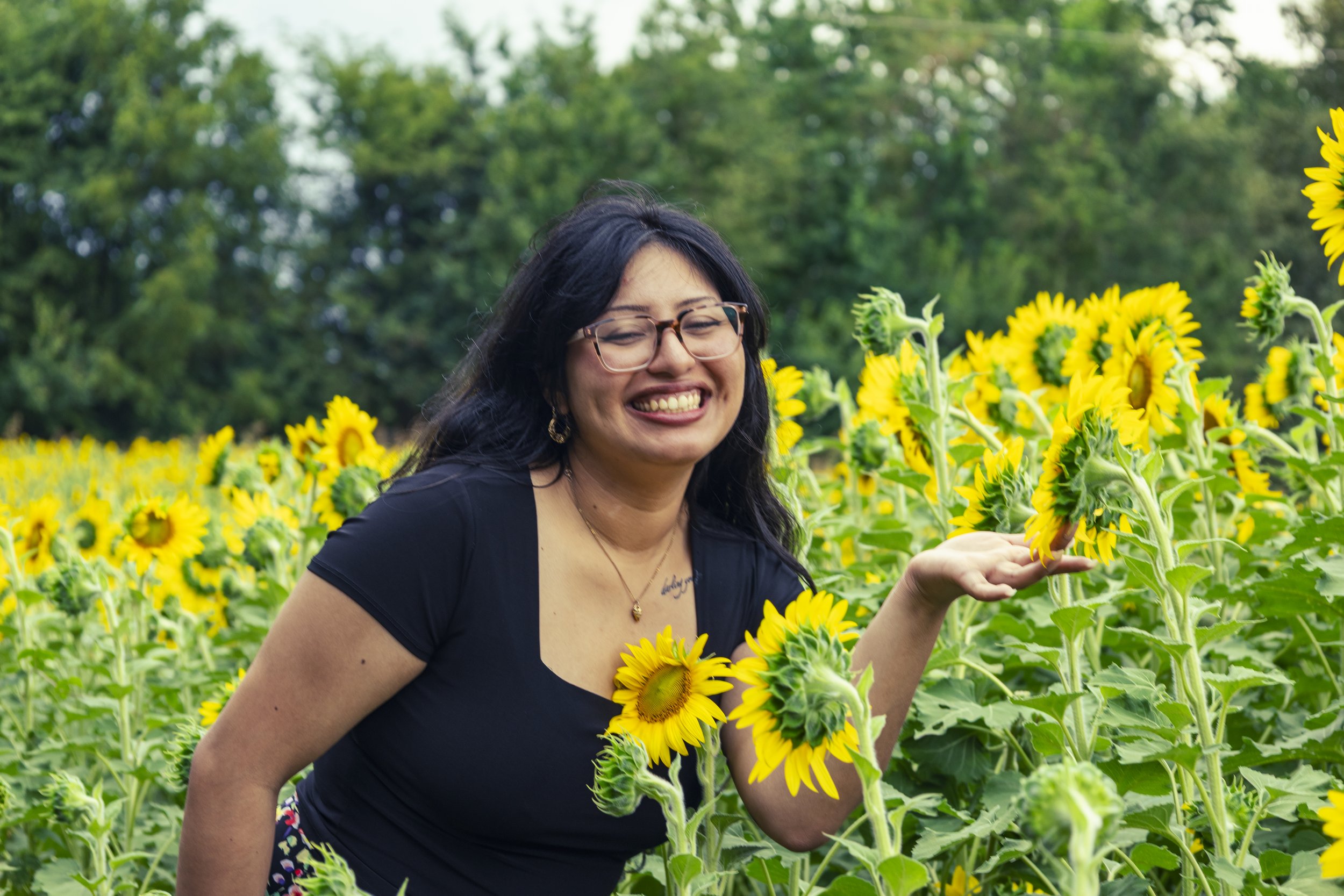 260712_sunflower field_00046.jpg