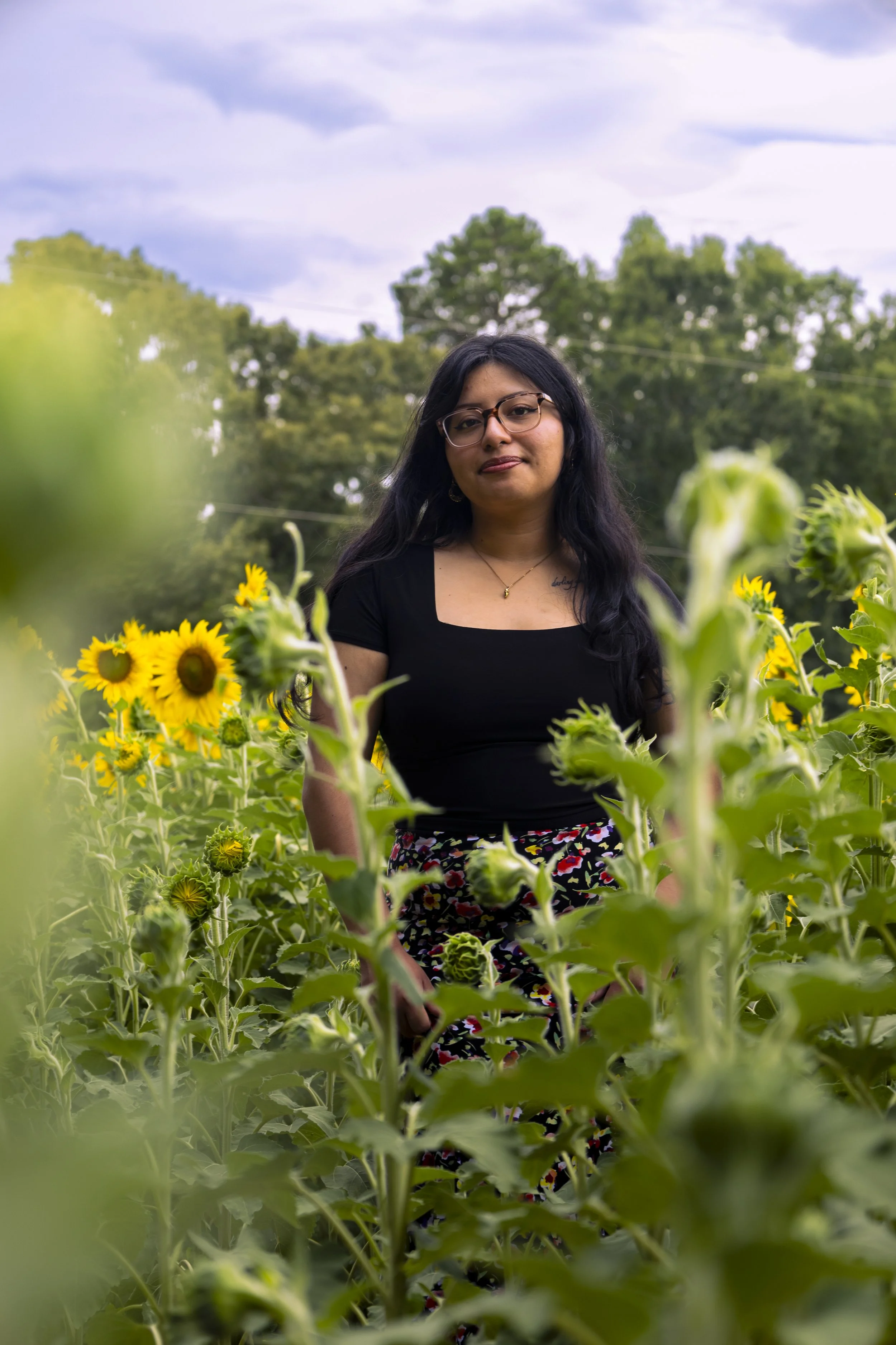 260712_sunflower field_00010.jpg