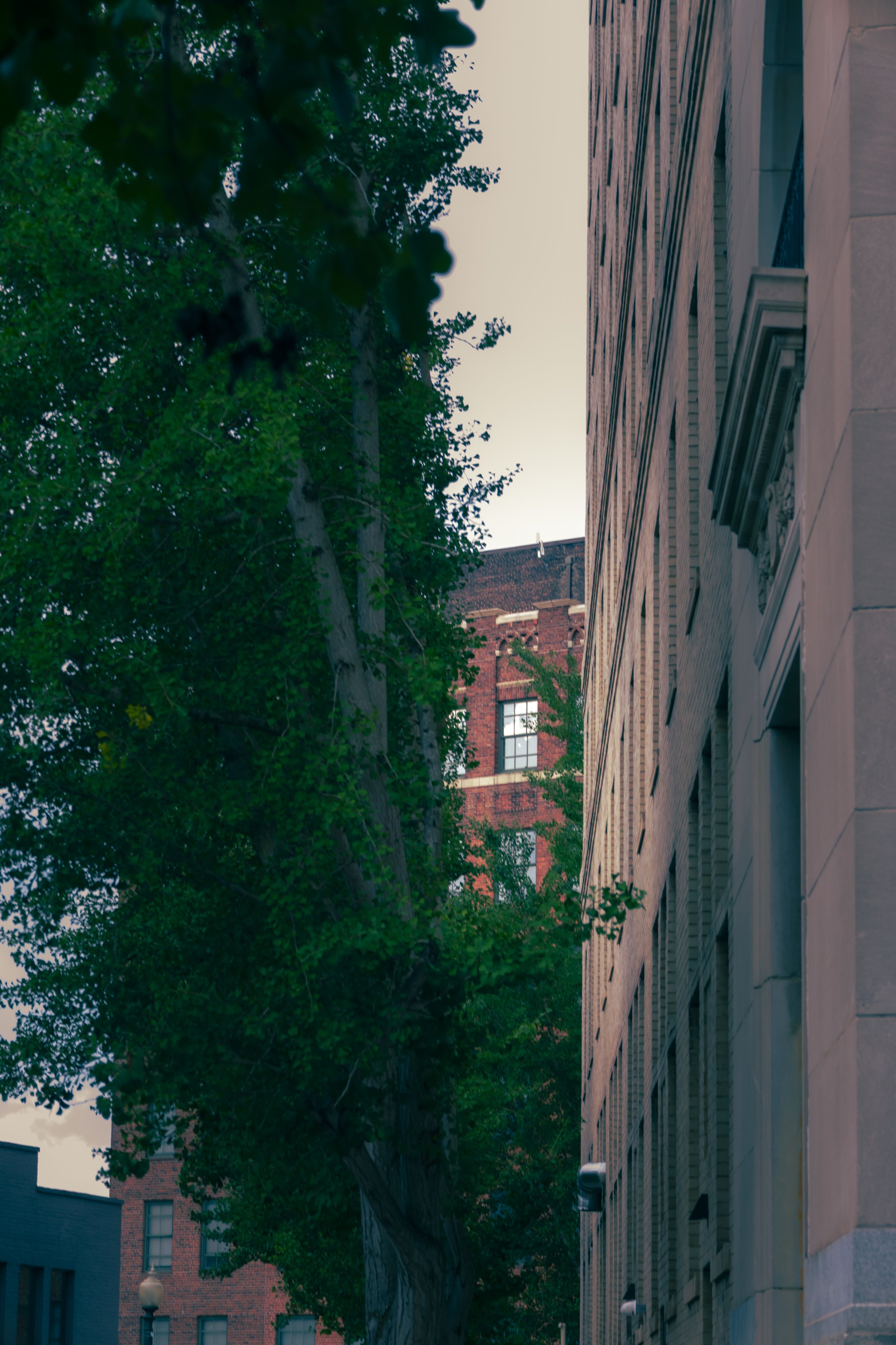 260706_asheville_00034.jpg