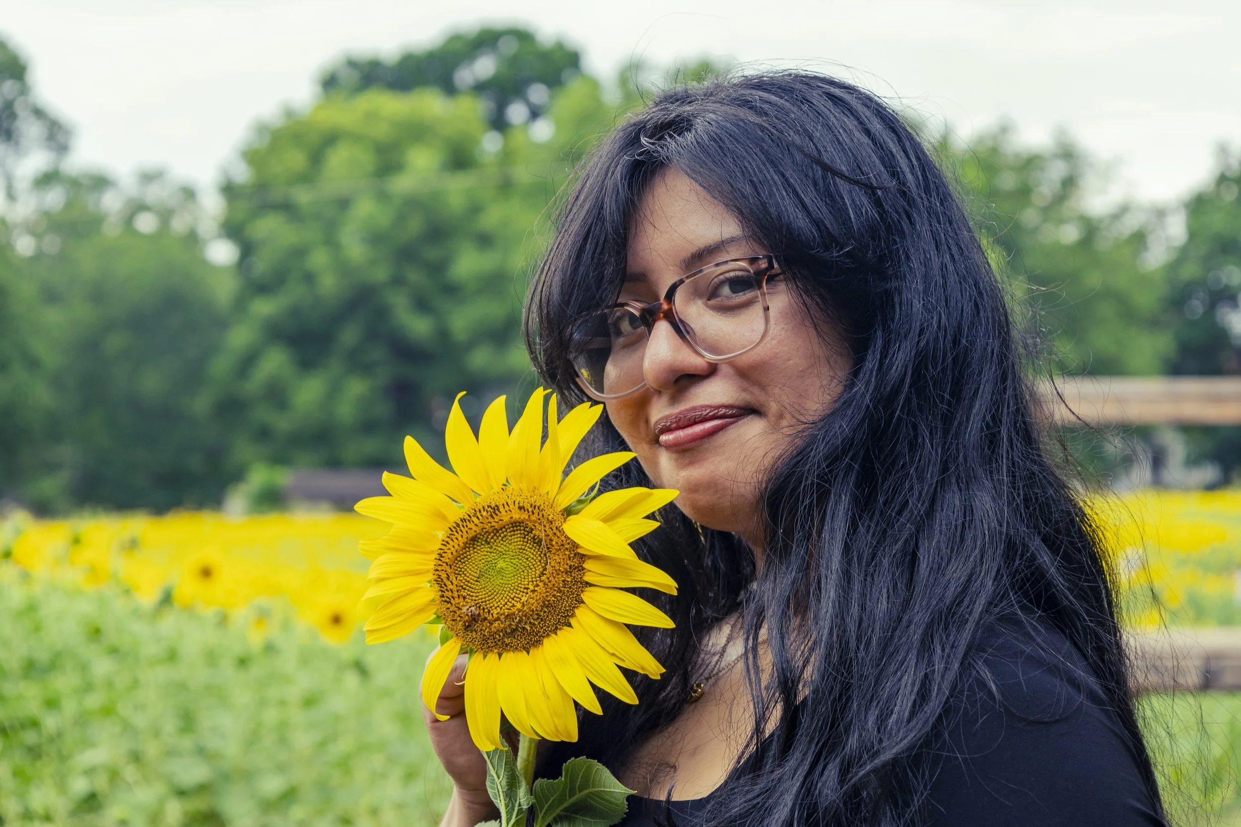 260712_sunflower field_00076.jpg