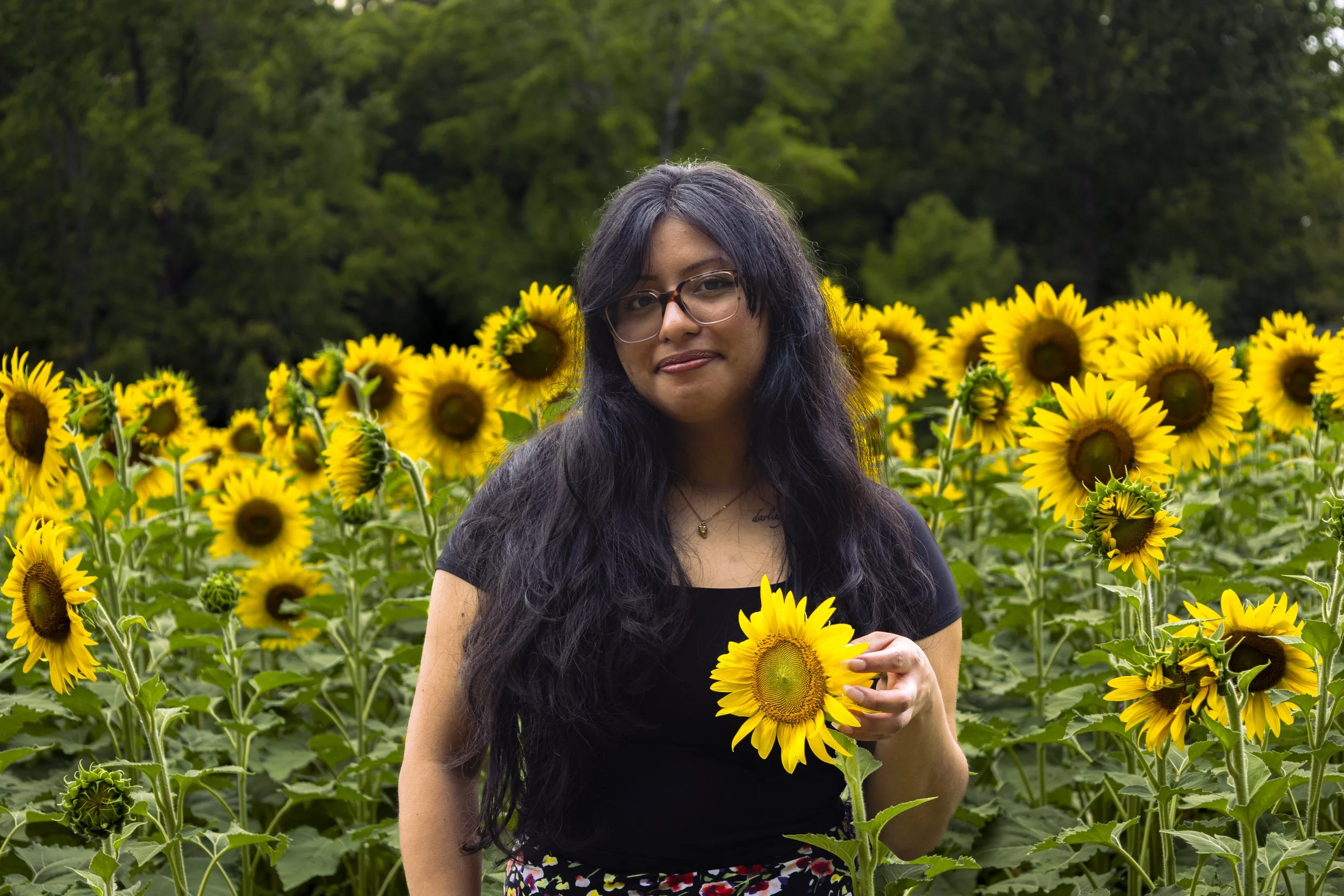 260712_sunflower field_00005.jpg
