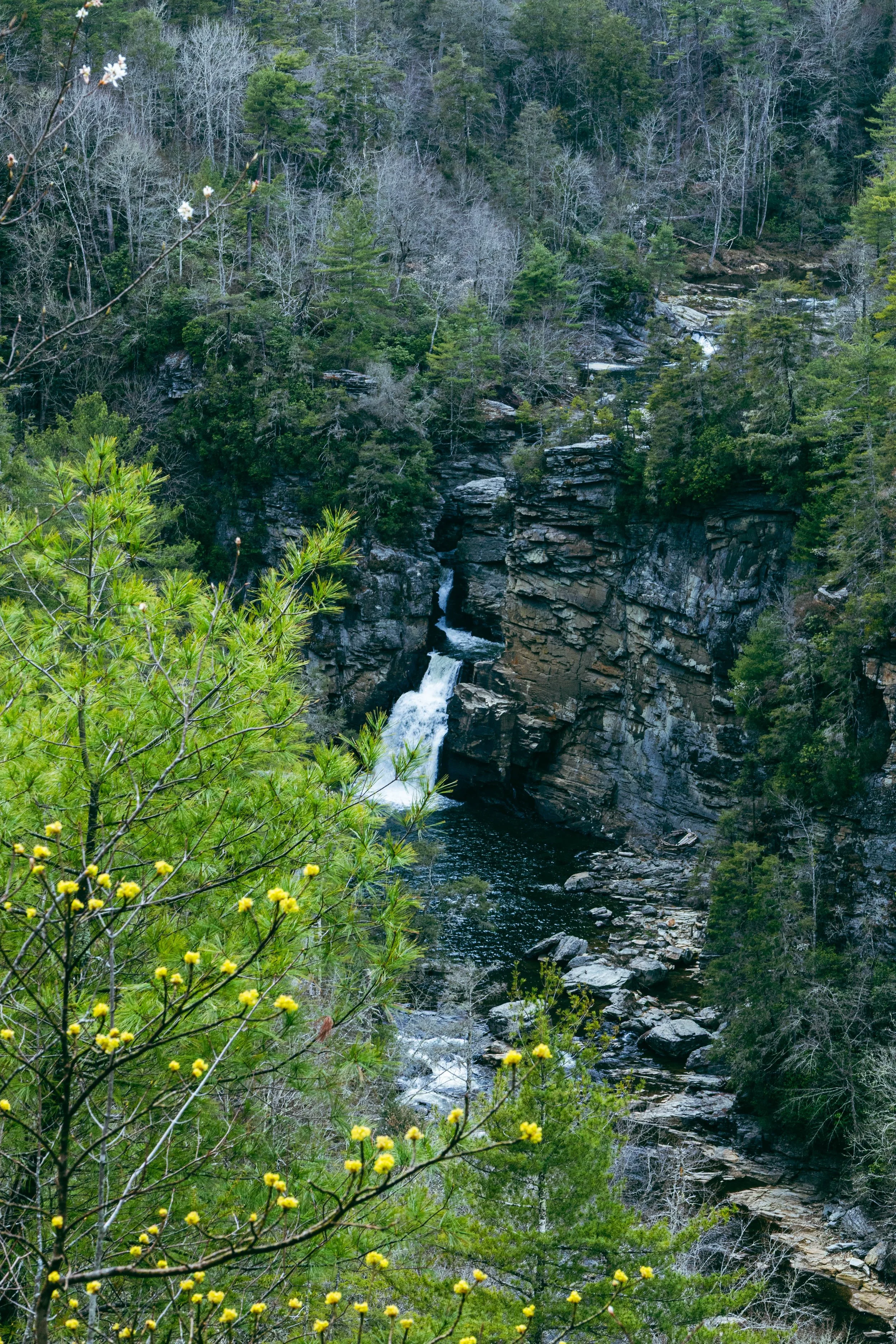 260404_waterfall_00111.jpg