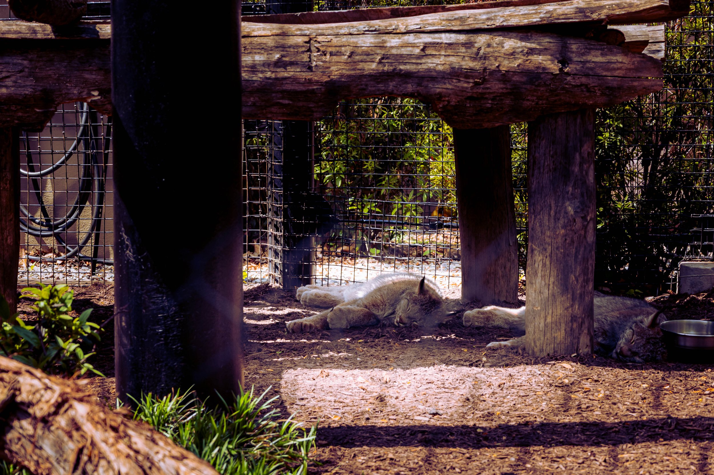 260417_waterfall_take 2_00026.jpg