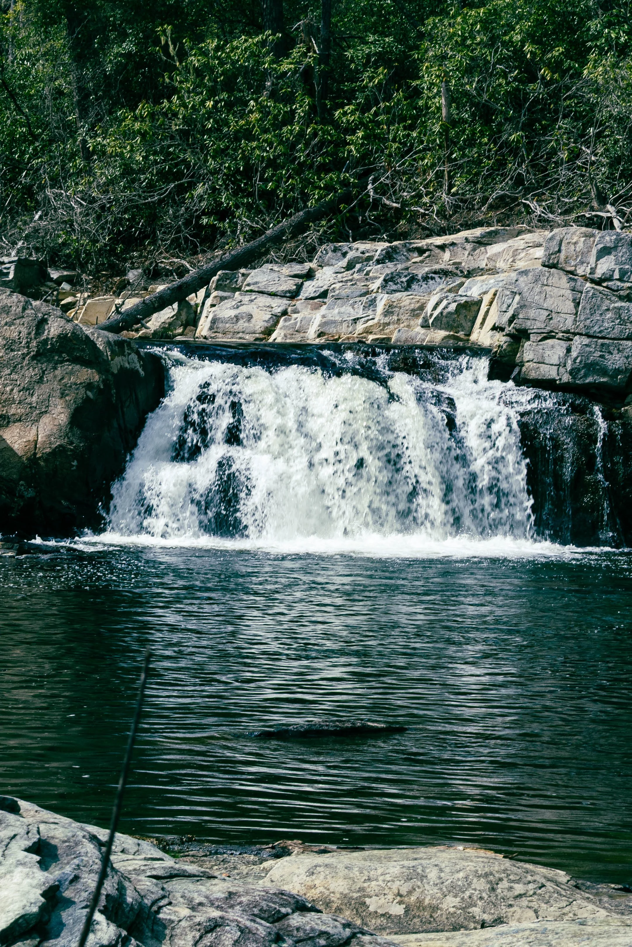 260404_waterfall_00042.jpg