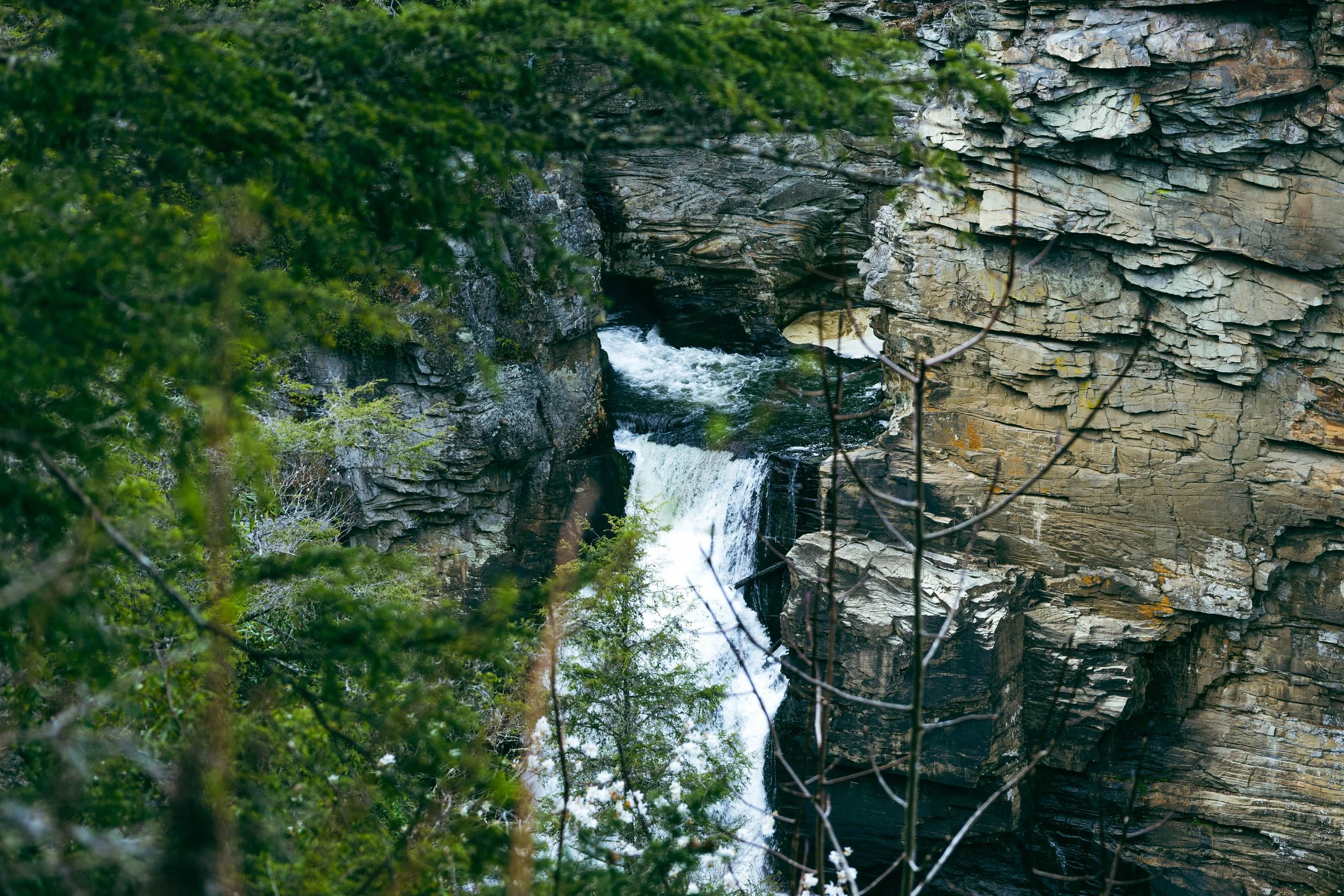 260404_waterfall_00076.jpg