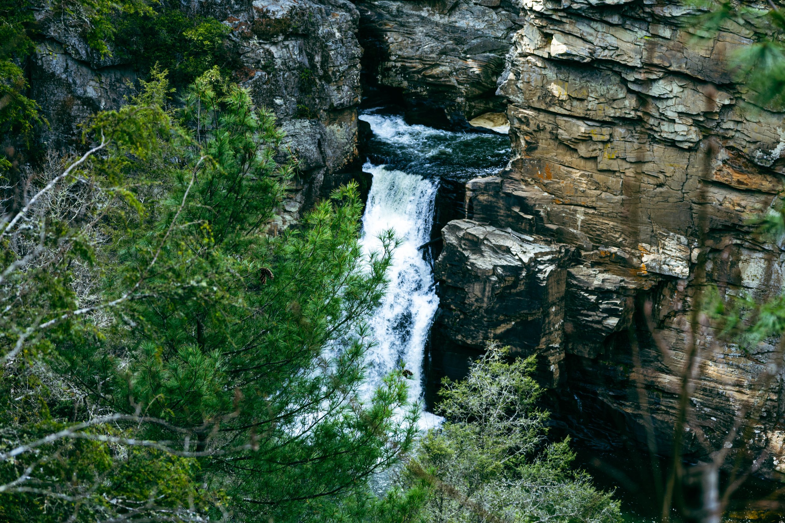 260404_waterfall_00084.jpg