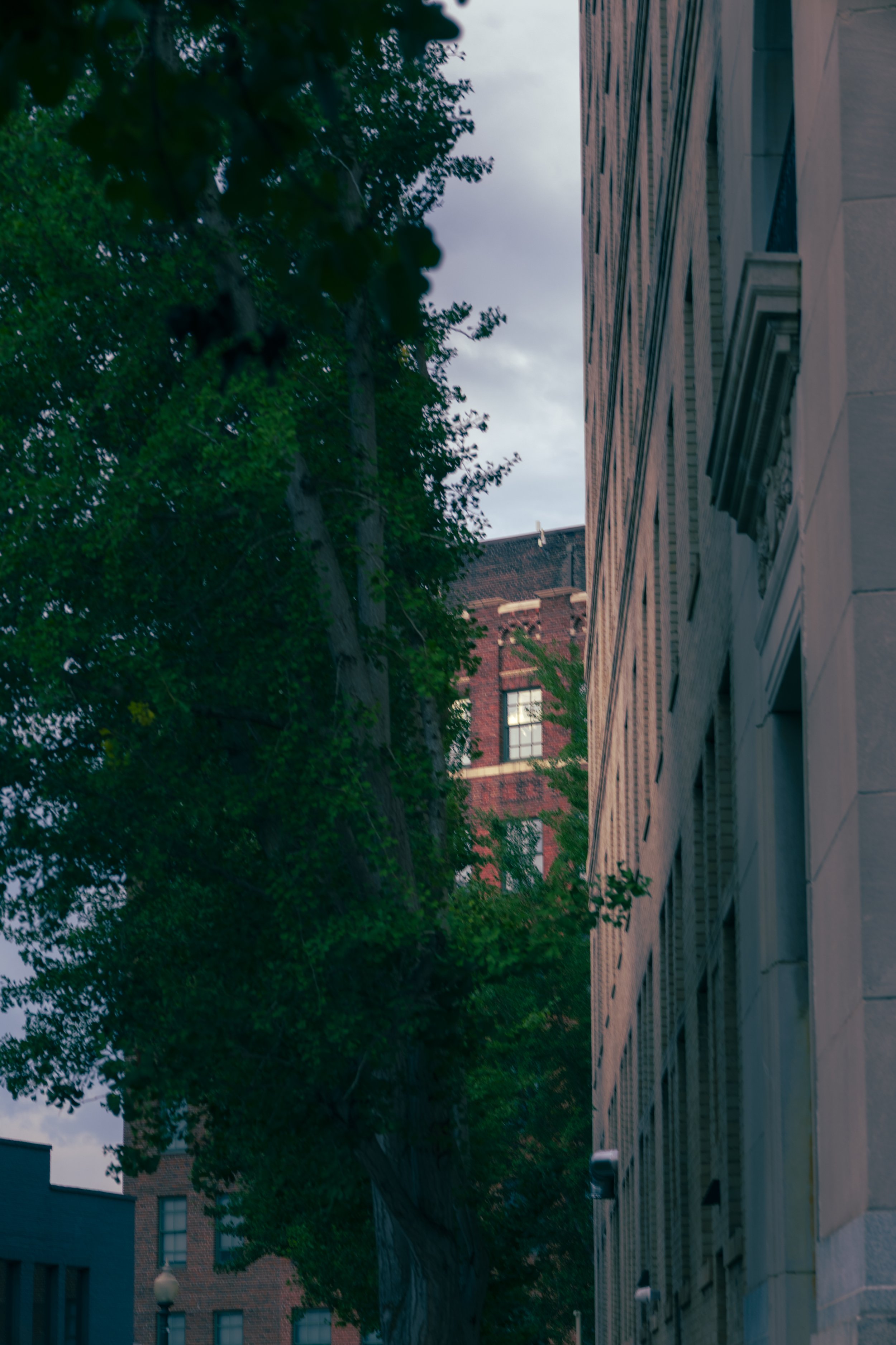 260706_asheville_00035.jpg