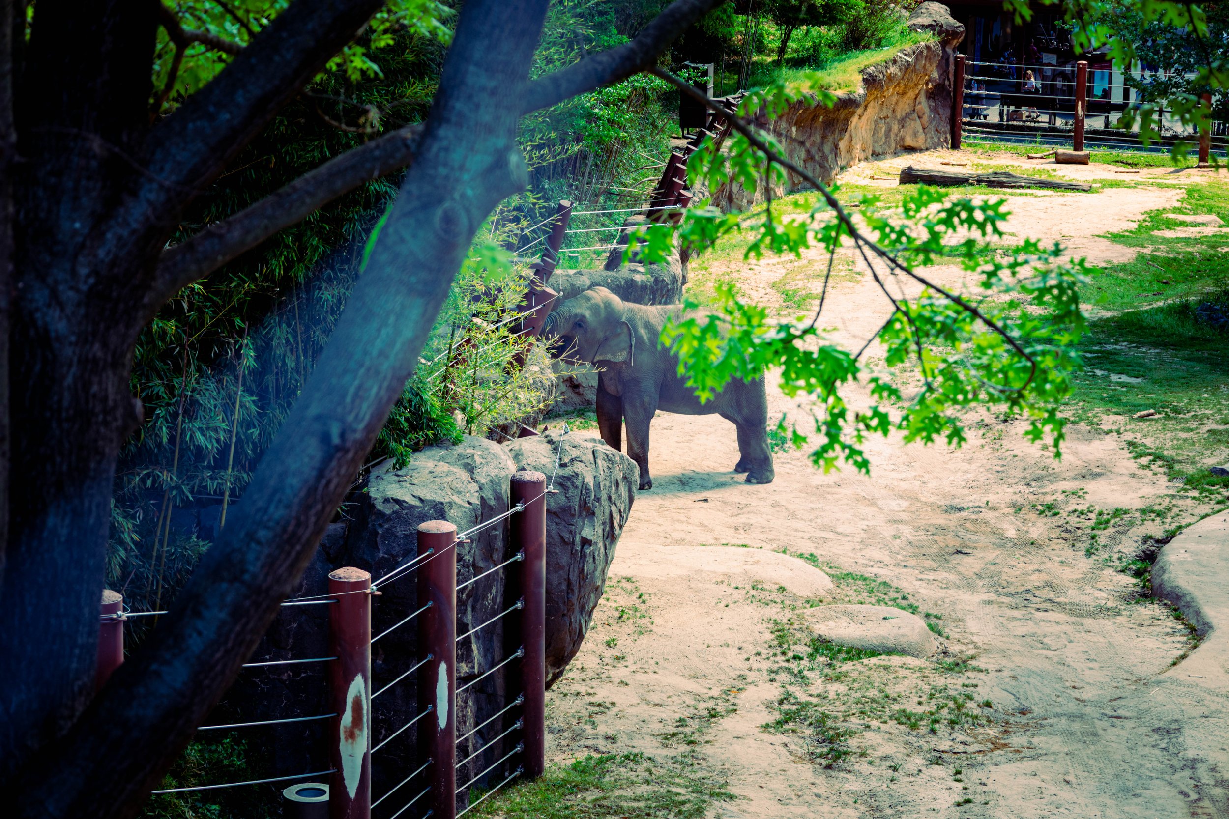 260417_waterfall_take 2_00005.jpg