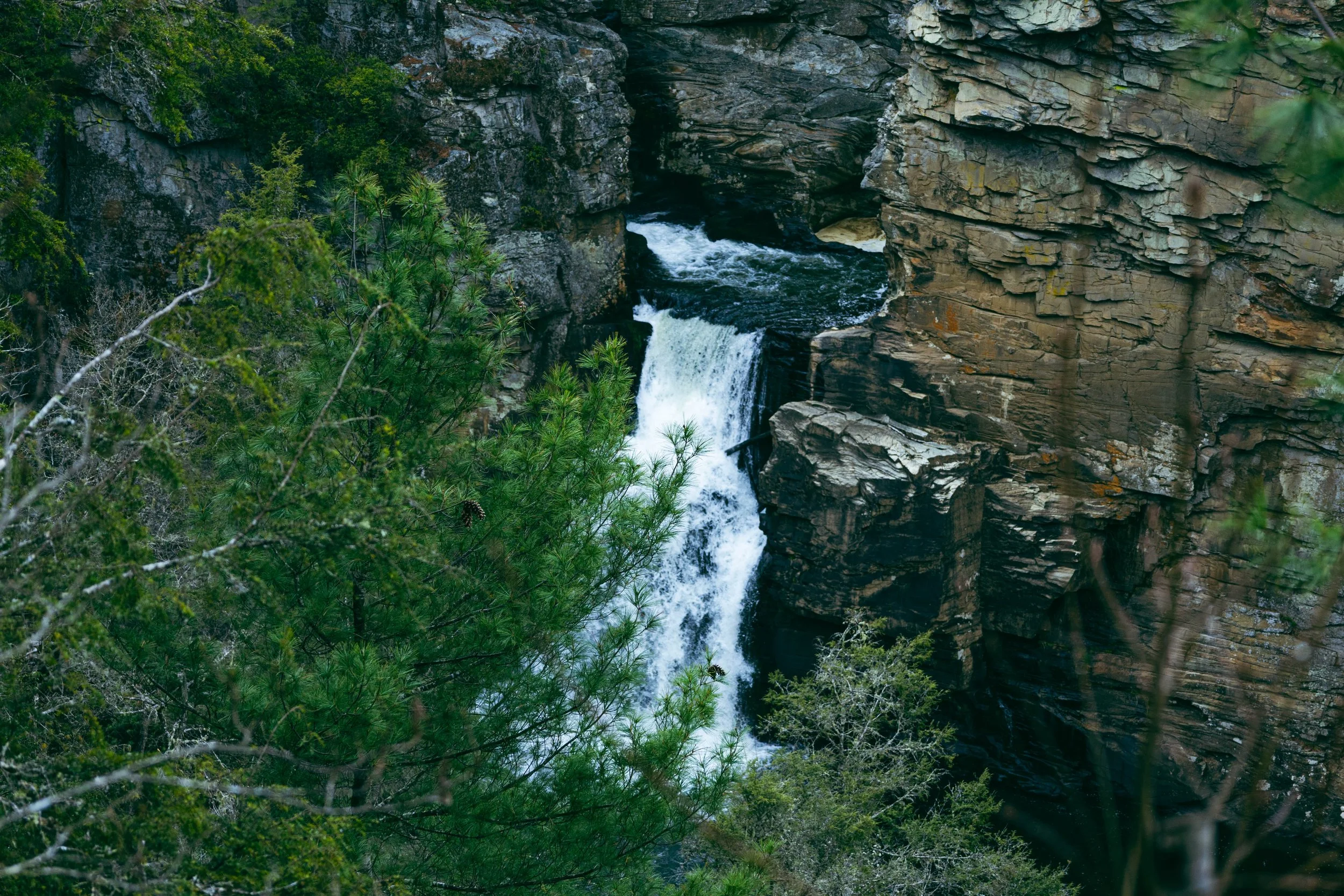 260404_waterfall_00085.jpg